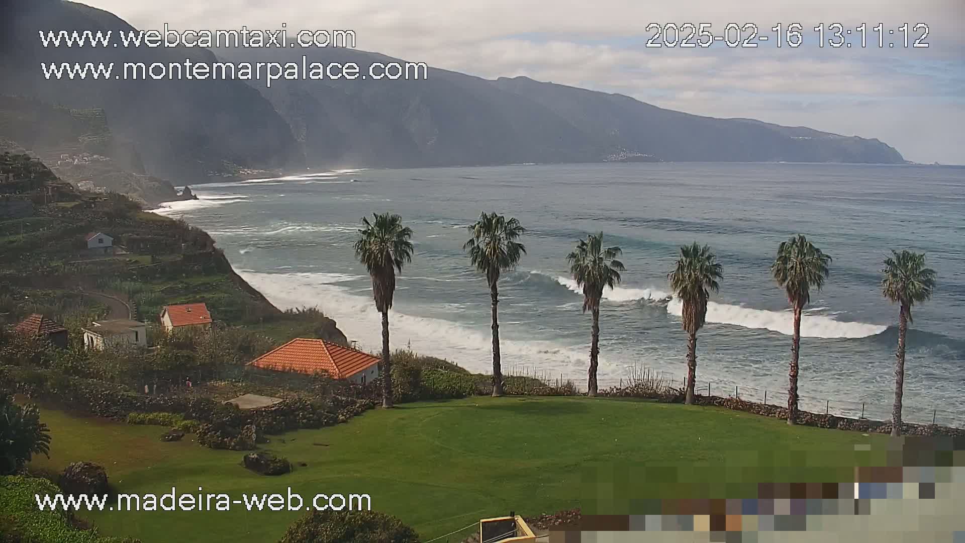 A coastal scene with overcast skies shows a rocky shoreline with a few houses, several palm trees on a grassy area, and ocean waves breaking near a mountainous background.