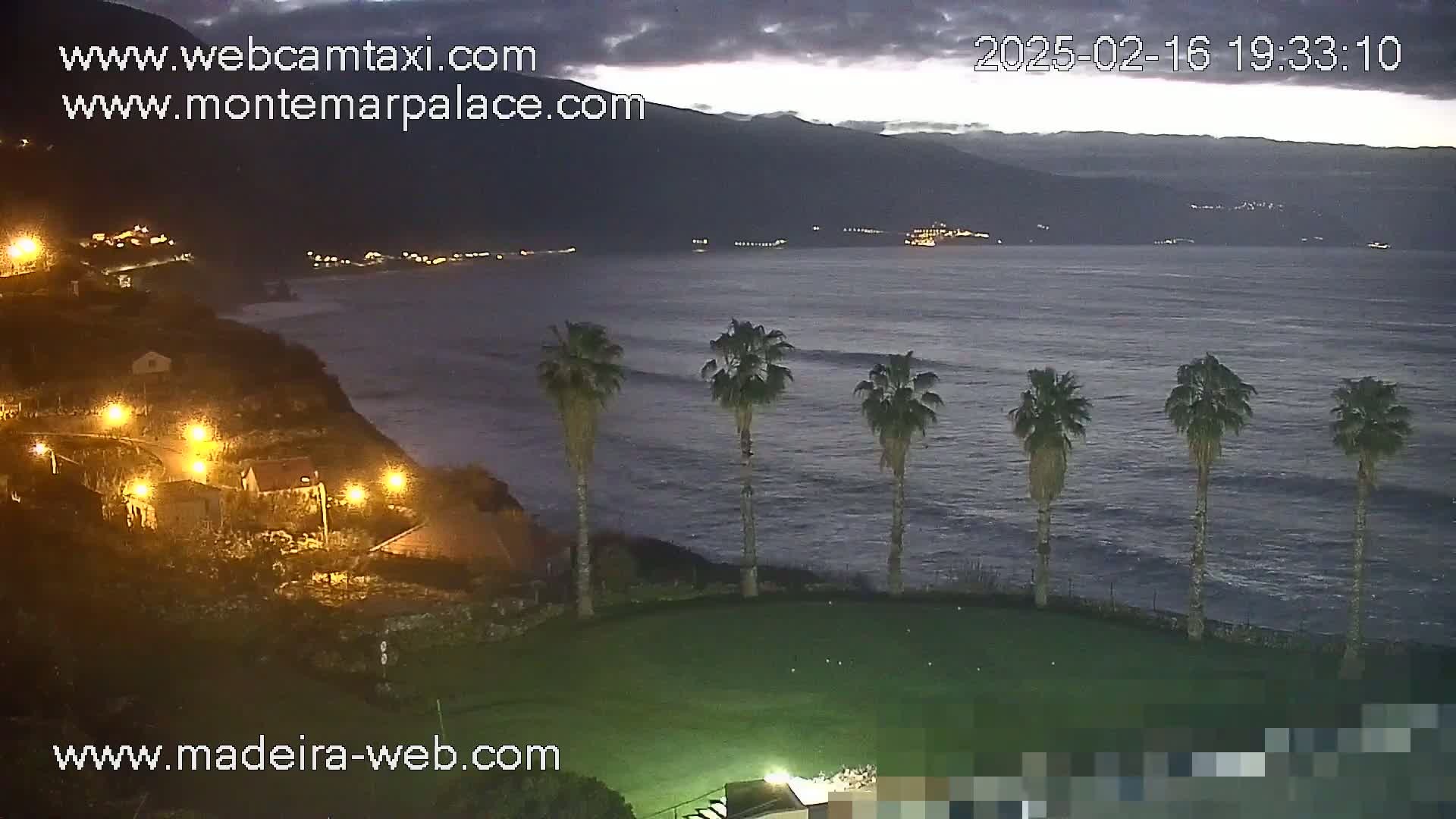 A nighttime coastal scene shows a dark ocean with small waves under a cloudy sky, several palm trees on a grassy area overlooking the water, and a small village illuminated by lights on a cliffside.