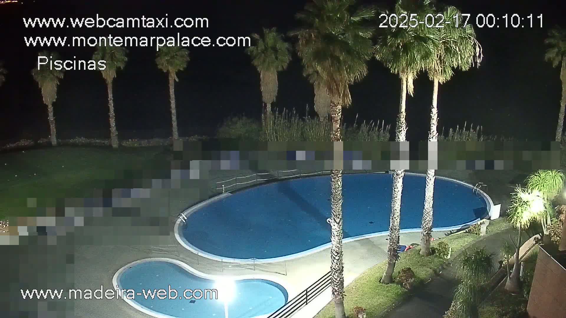 An illuminated kidney-shaped swimming pool and a smaller adjacent pool are surrounded by palm trees and landscaping at night.