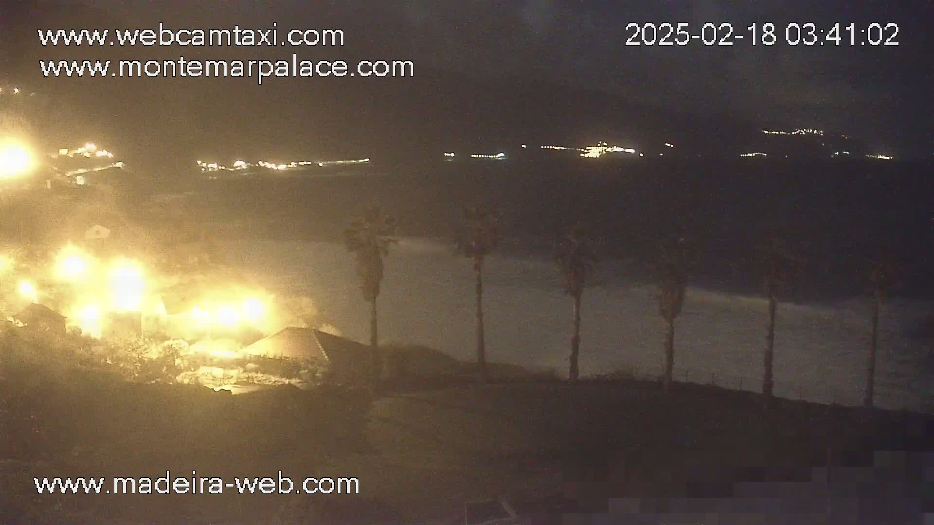 At night, brightly lit buildings are situated near a dark coastline with palm trees silhouetted against a rough sea.