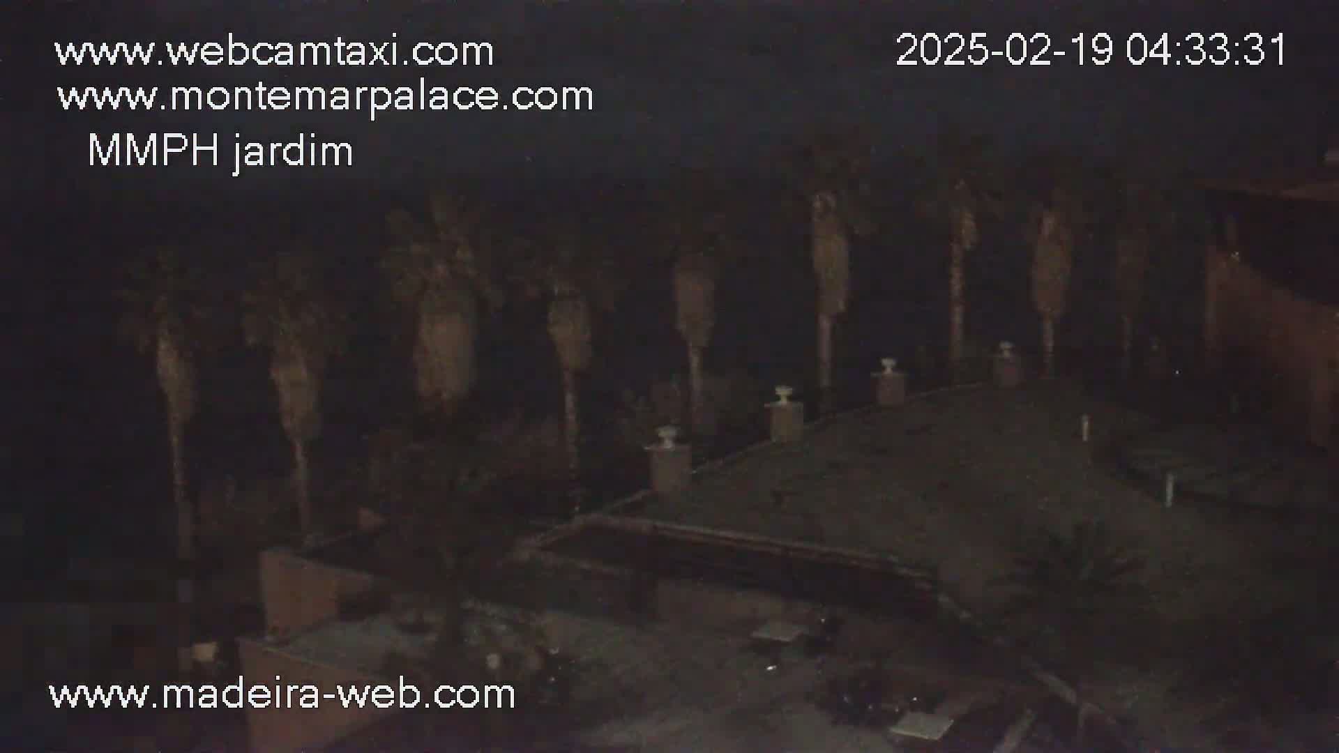 A nighttime, high-angle view shows a dark outdoor scene with several palm trees and a low building under a dark sky.
