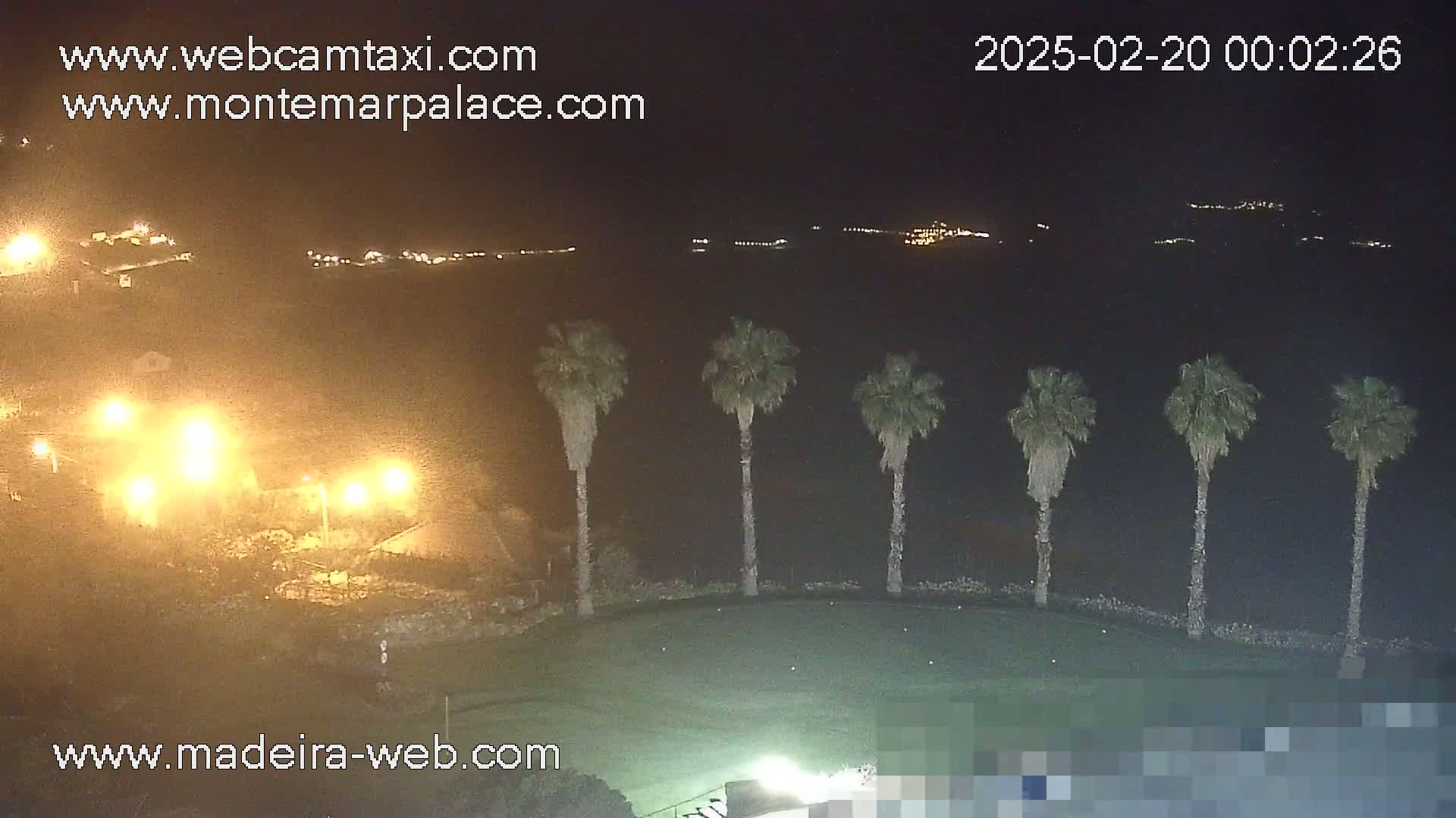 A nighttime view of a grassy area with several palm trees, illuminated buildings in the foreground, and distant lights on a hillside.