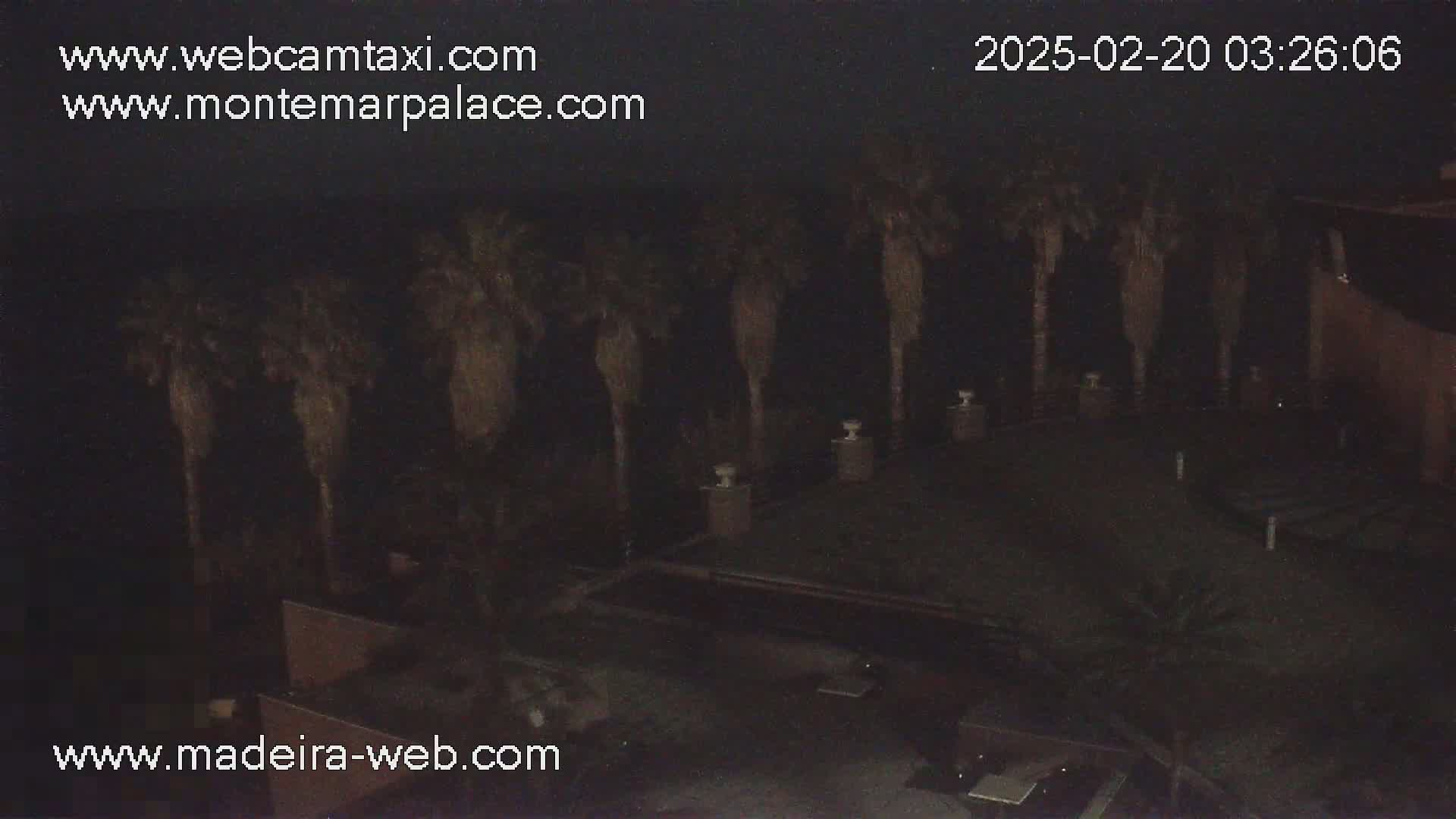 A nighttime, dark view of a courtyard with several palm trees, some low-lying structures, and what looks like a pool.