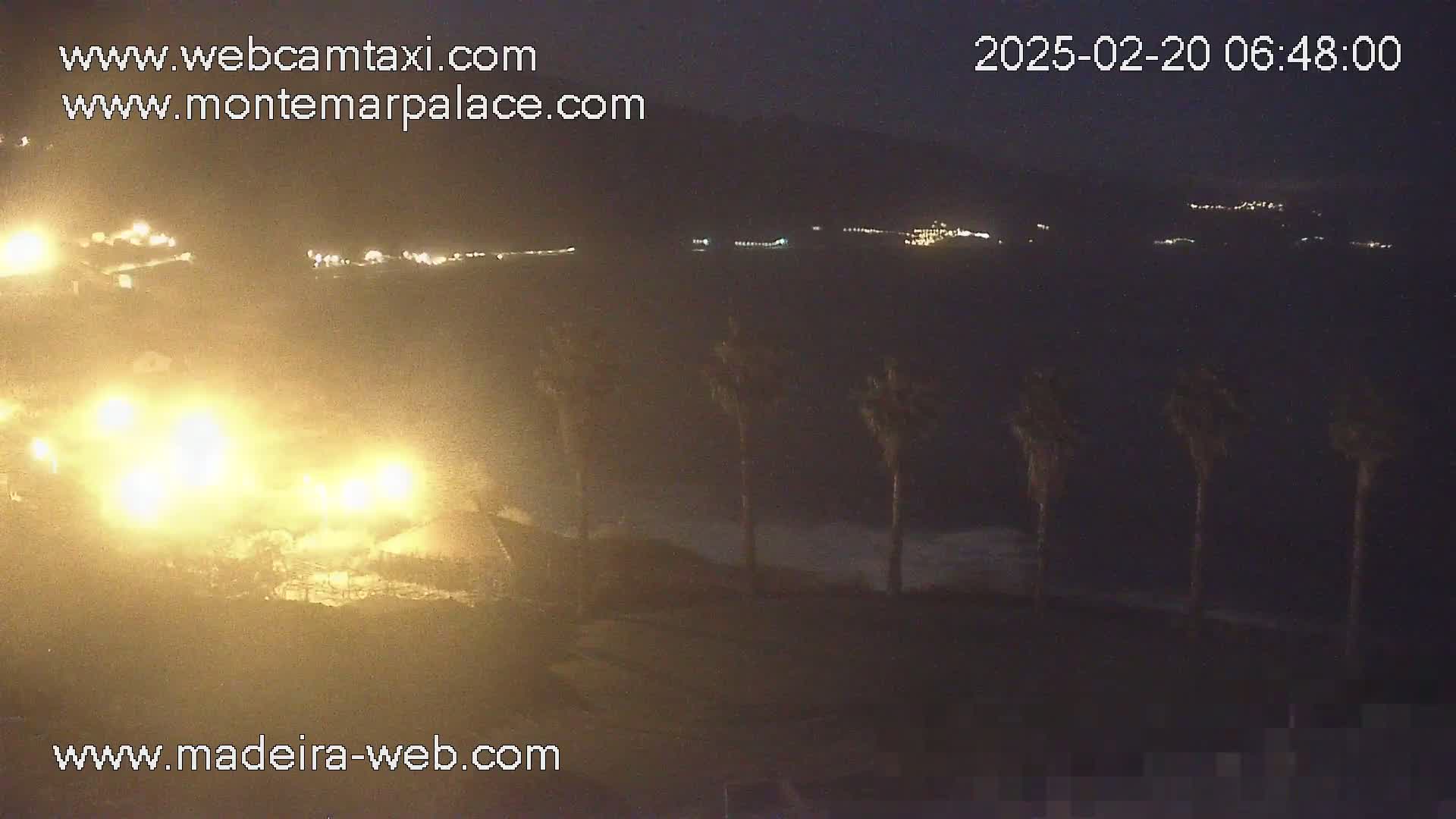 A nighttime coastal scene shows a body of water with distant lights on the shore, several palm trees in the foreground, and bright lights illuminating an area closer to the camera.