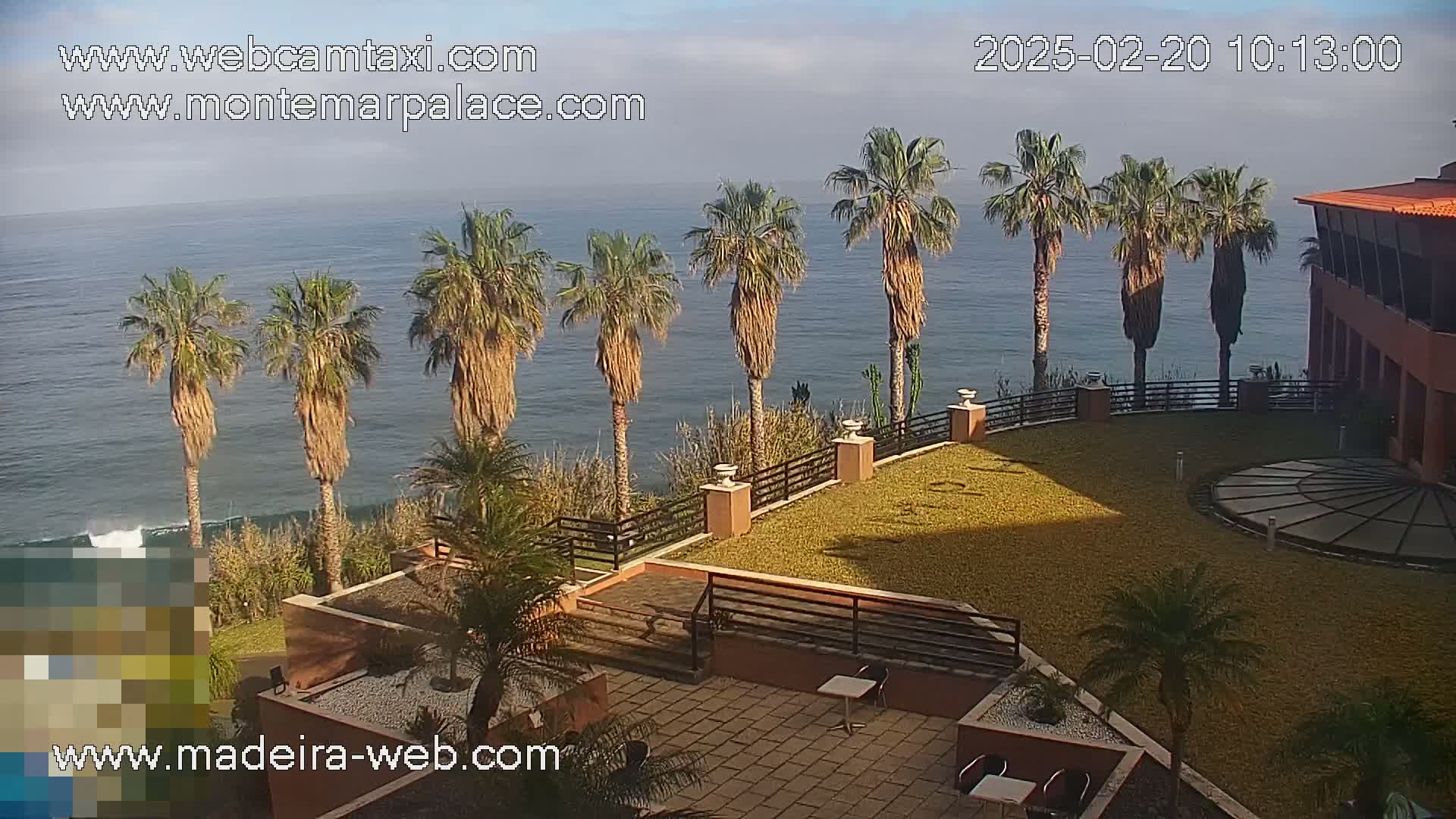 A seaside resort patio with palm trees, overlooking a calm ocean under a partly cloudy sky.