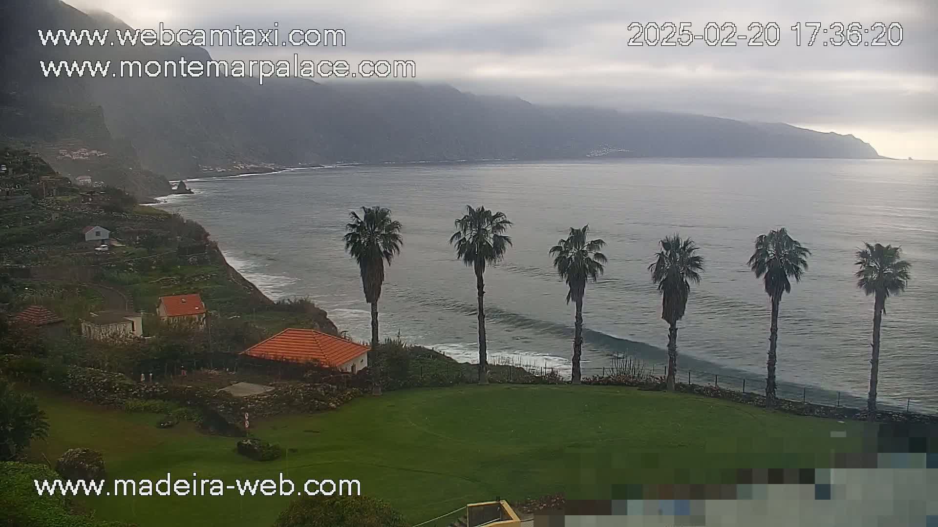 A coastal scene on an overcast day shows a grassy area with several palm trees overlooking a calm ocean with gentle waves lapping a rocky shore, featuring houses clinging to a hillside beneath misty mountains.
