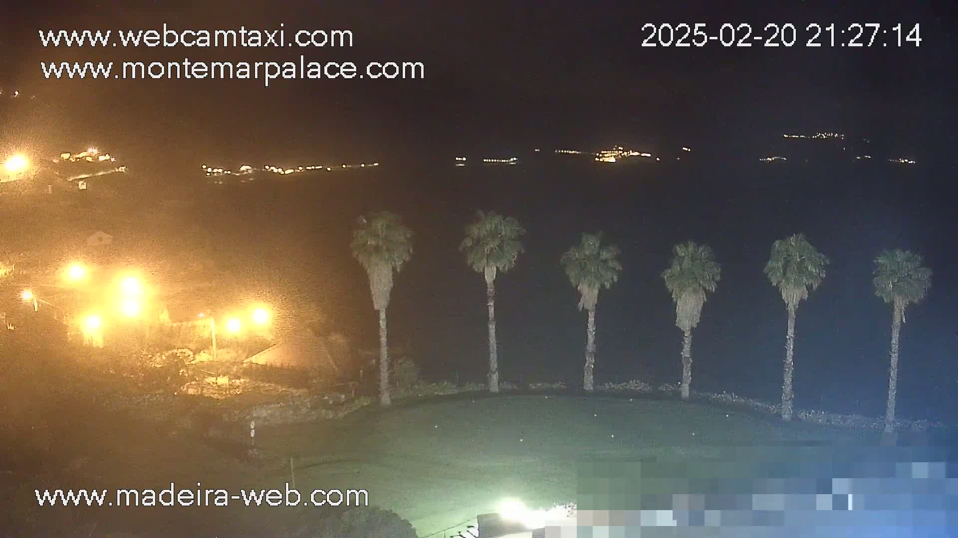 A nighttime view of a coastal area shows palm trees silhouetted against a dark body of water, with lights illuminating a nearby building and distant hills.