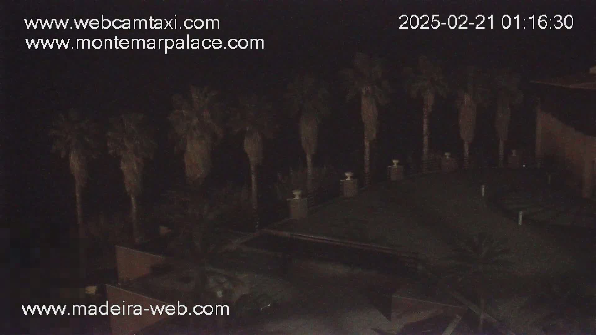 A nighttime view shows several palm trees surrounding a dark area, possibly a courtyard or patio.