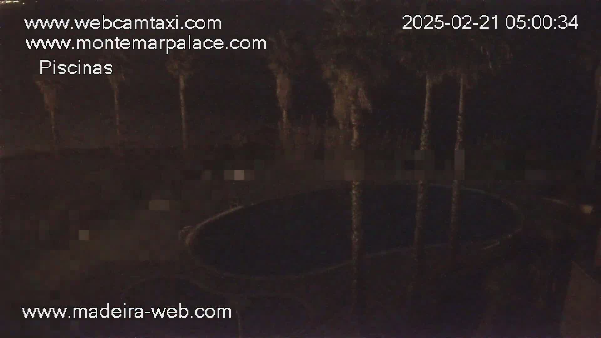 A nighttime, low-light image shows a dark, possibly oval-shaped pool of water under several tall, slender, indistinct objects that look like trees or possibly poles.