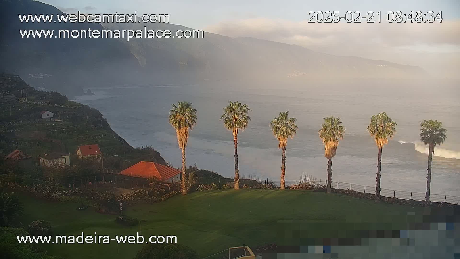 A hazy sunrise illuminates a coastal scene with several palm trees on a grassy area overlooking a rocky shore and ocean with waves.