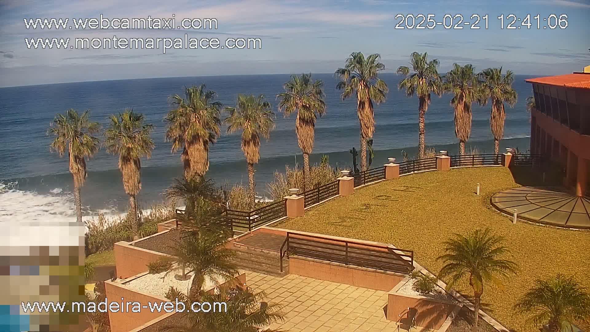 A seaside resort with palm trees overlooks a wavy ocean under a mostly clear sky.