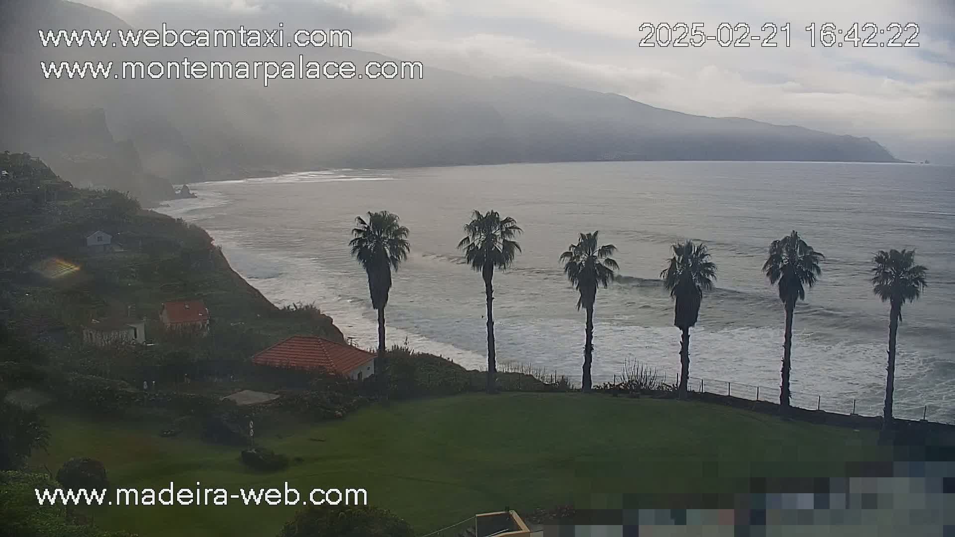 A coastal scene on an overcast day shows a rocky cliffside with houses, palm trees, and a calm ocean with small waves.