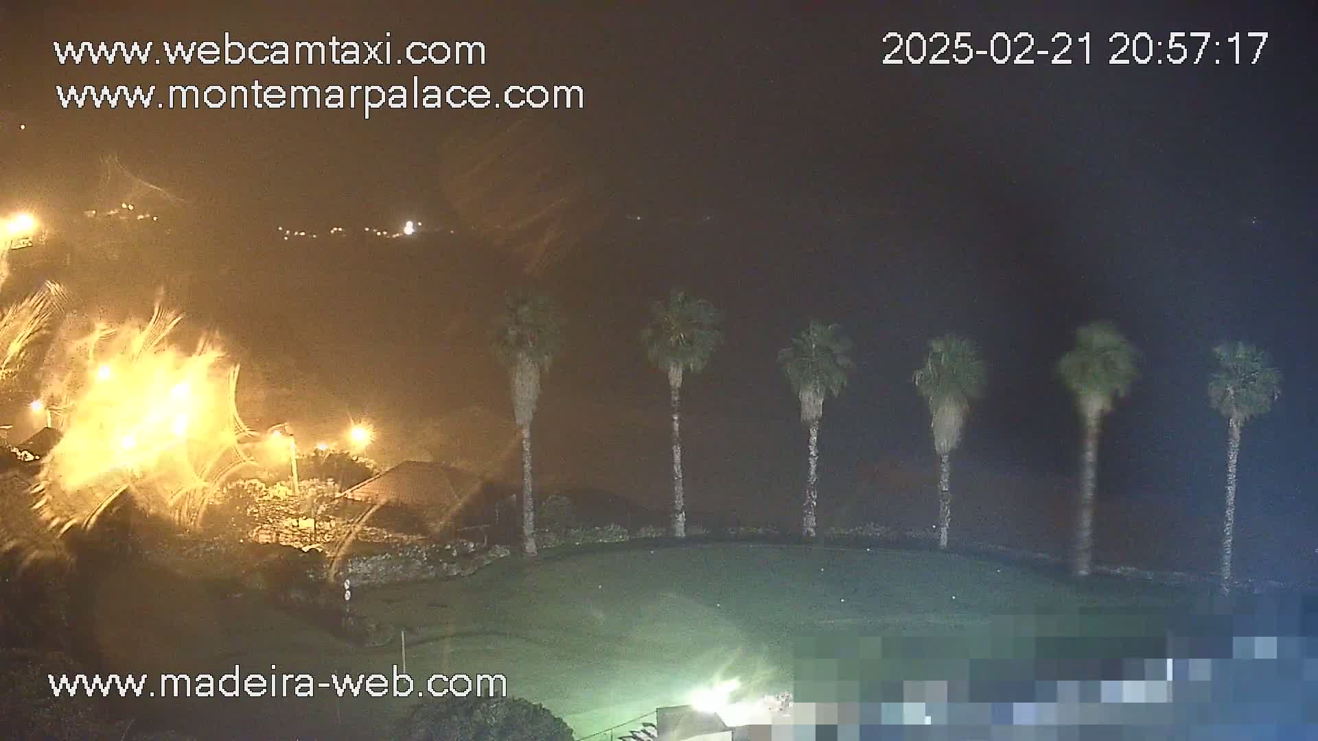 A nighttime view of a grassy area with several palm trees, illuminated by artificial lights in windy conditions with what appears to be rain or blowing debris.