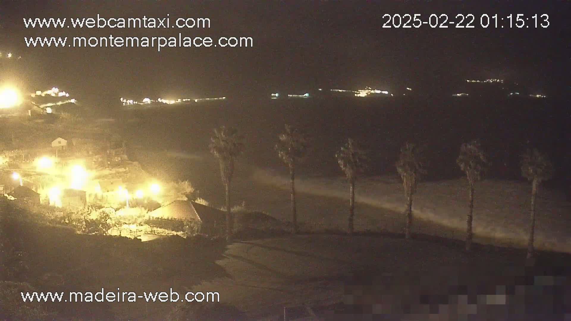 At night, a coastal scene shows a dark ocean with waves, palm trees in the foreground, and buildings with lights on illuminated in the distance.