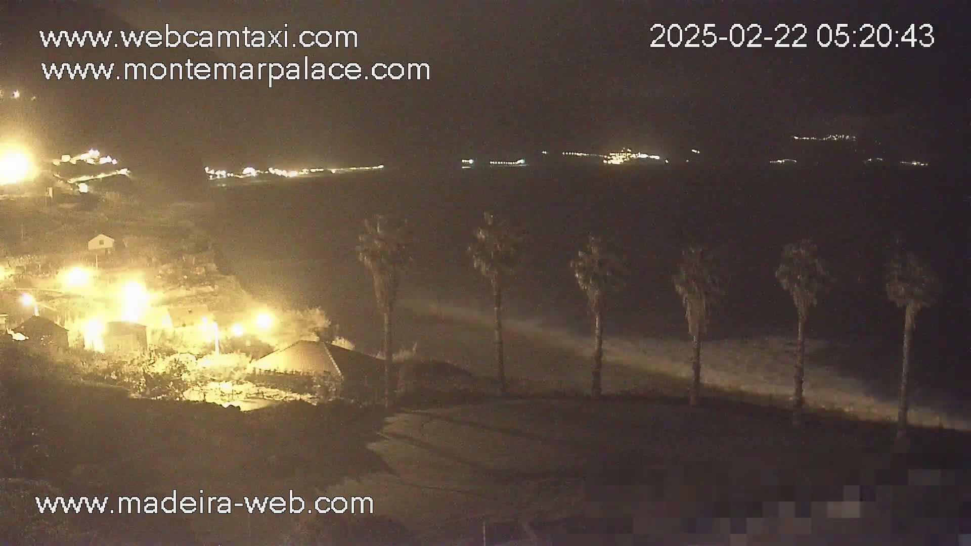 A nighttime coastal scene shows a dark beach with crashing waves under a clear sky, several palm trees, and illuminated buildings in the foreground.