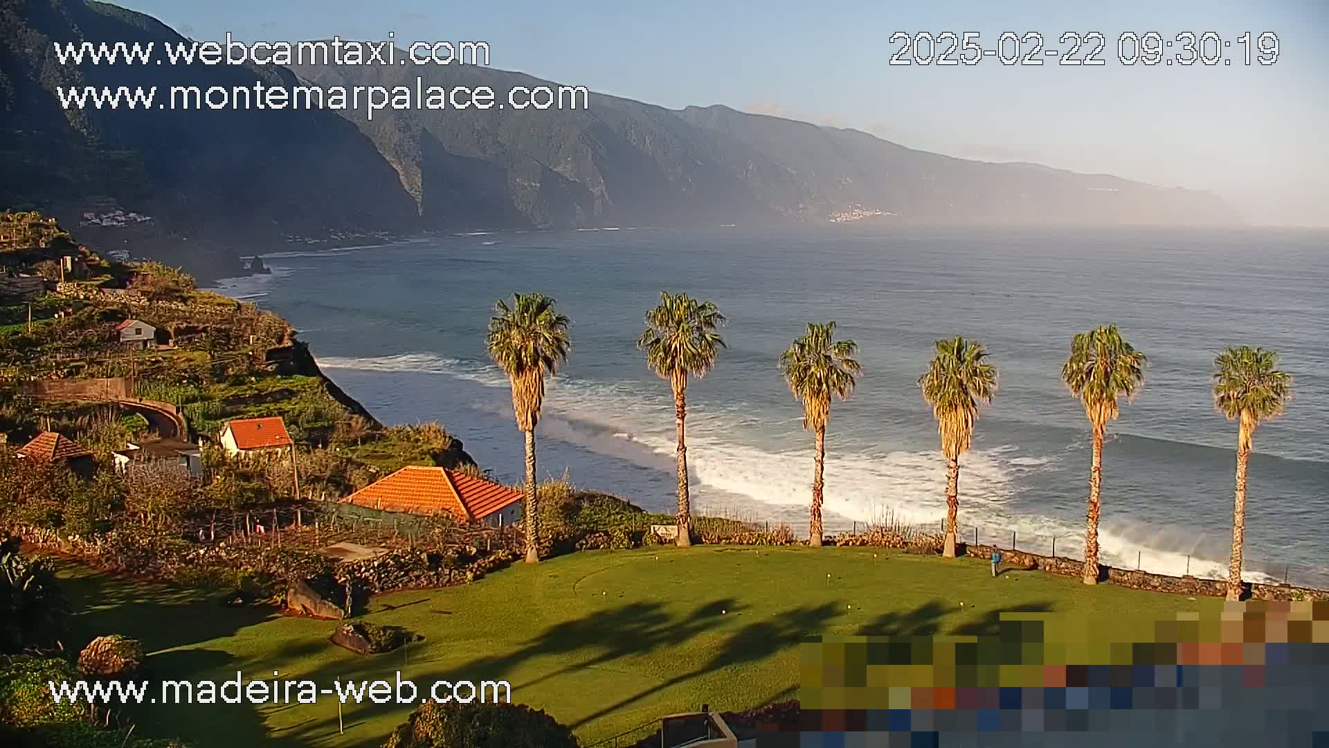 A coastal scene shows a grassy area with several palm trees overlooking a calm ocean with small waves lapping the shore, under a clear, bright sky.
