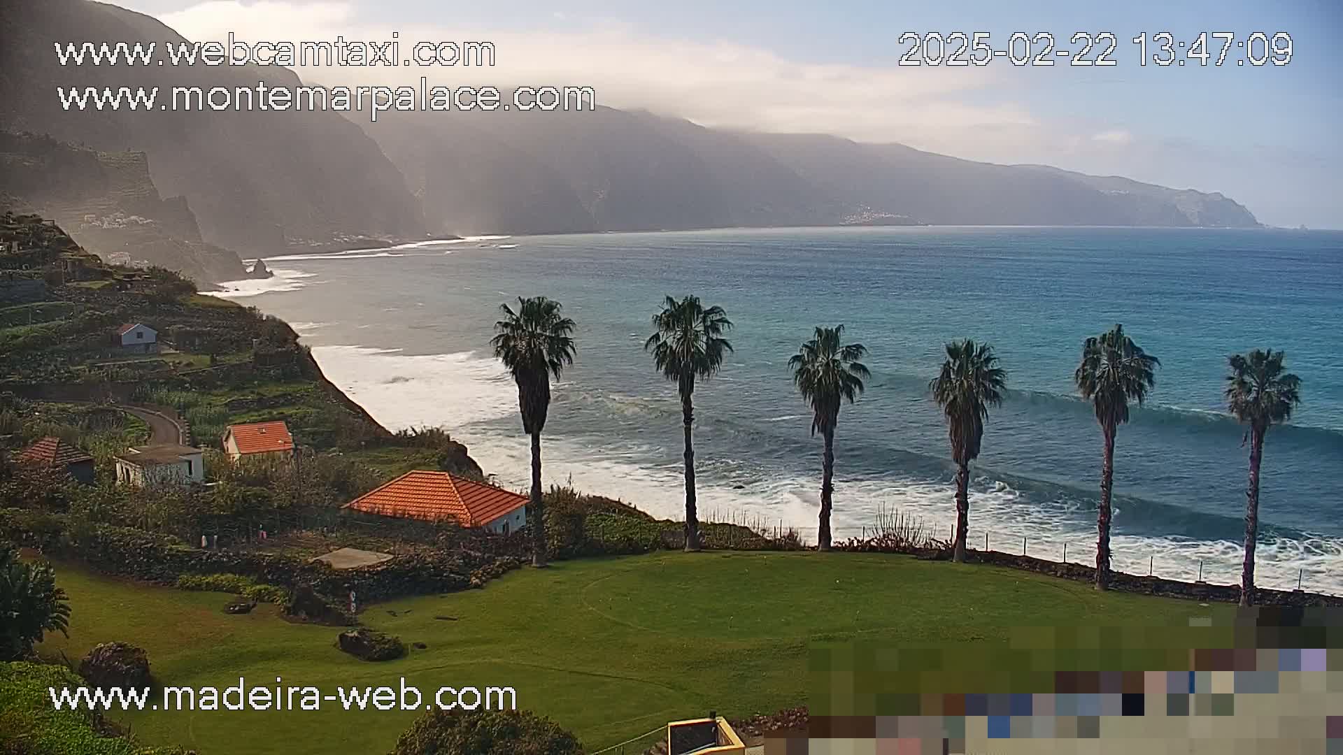 A coastal scene on a partly cloudy day shows a row of palm trees overlooking a rocky, terraced coastline with small houses and a calm ocean with gentle waves.