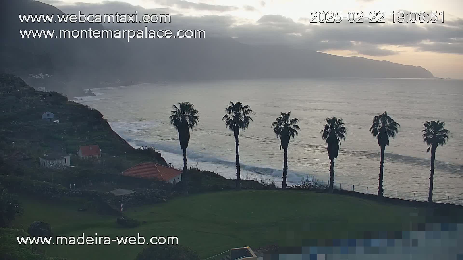 Five palm trees stand on a grassy hill overlooking a calm ocean with small waves under a cloudy, dusky sky.
