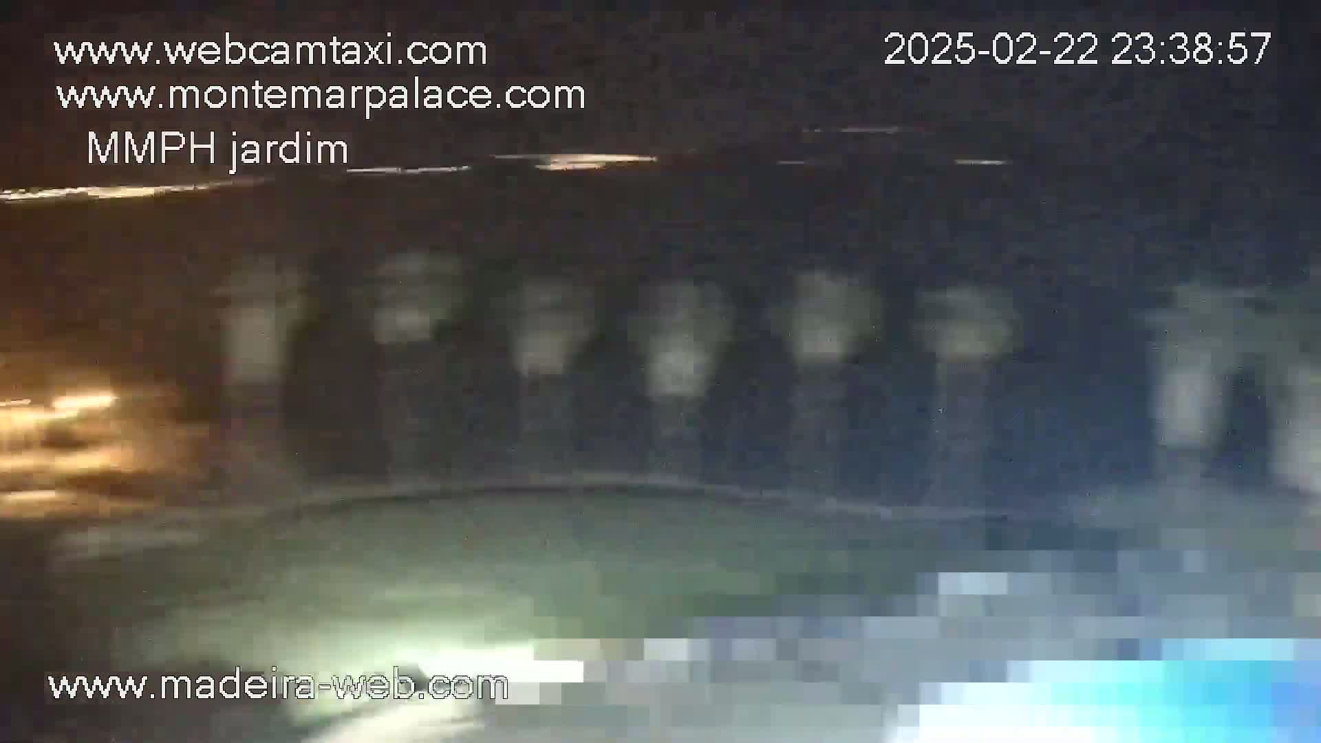 A blurry nighttime image shows several indistinct shapes that appear to be trees or poles along a dark roadway.