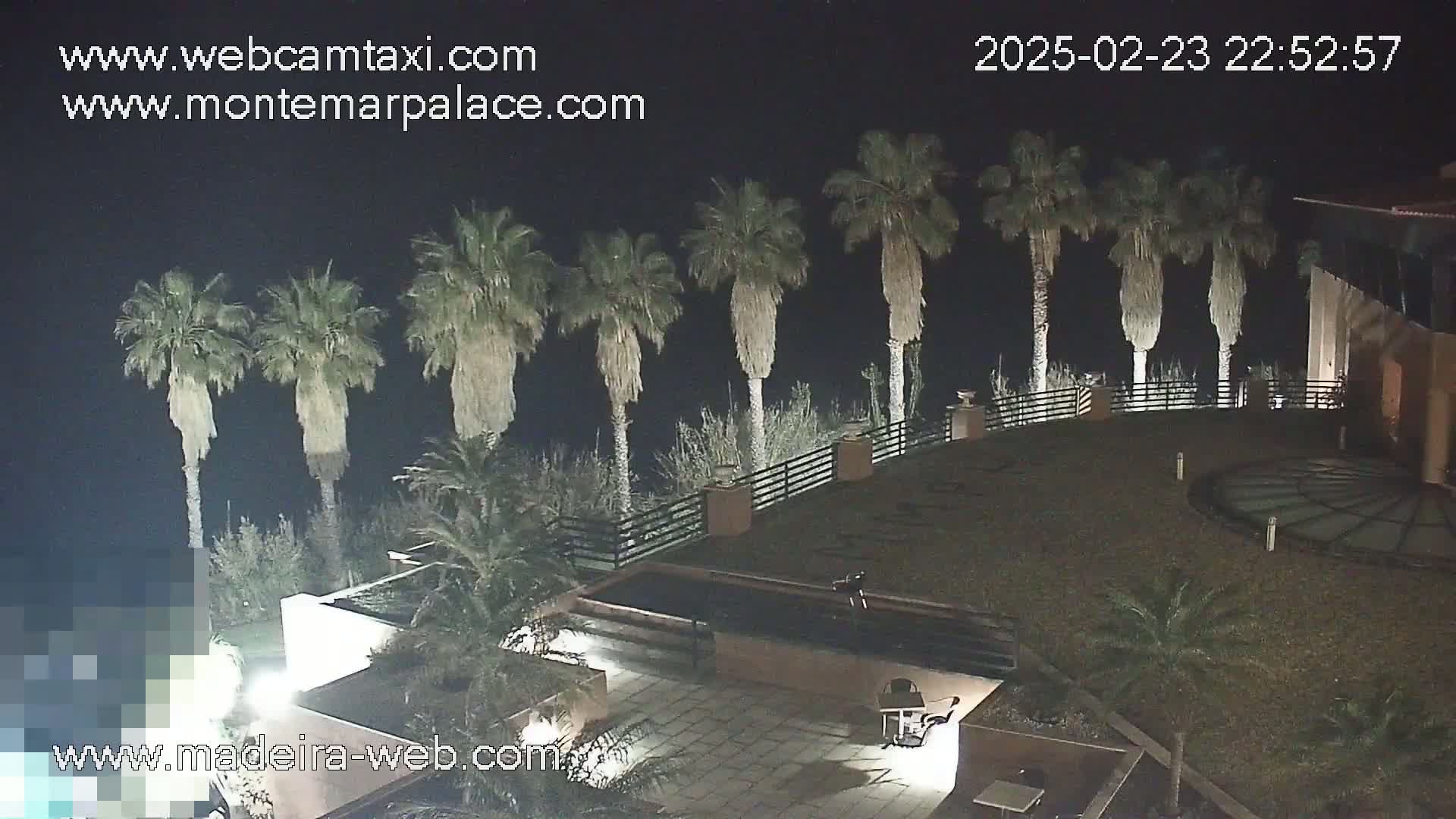A nighttime view of a building's rooftop patio with palm trees and shrubs, illuminated by artificial light.