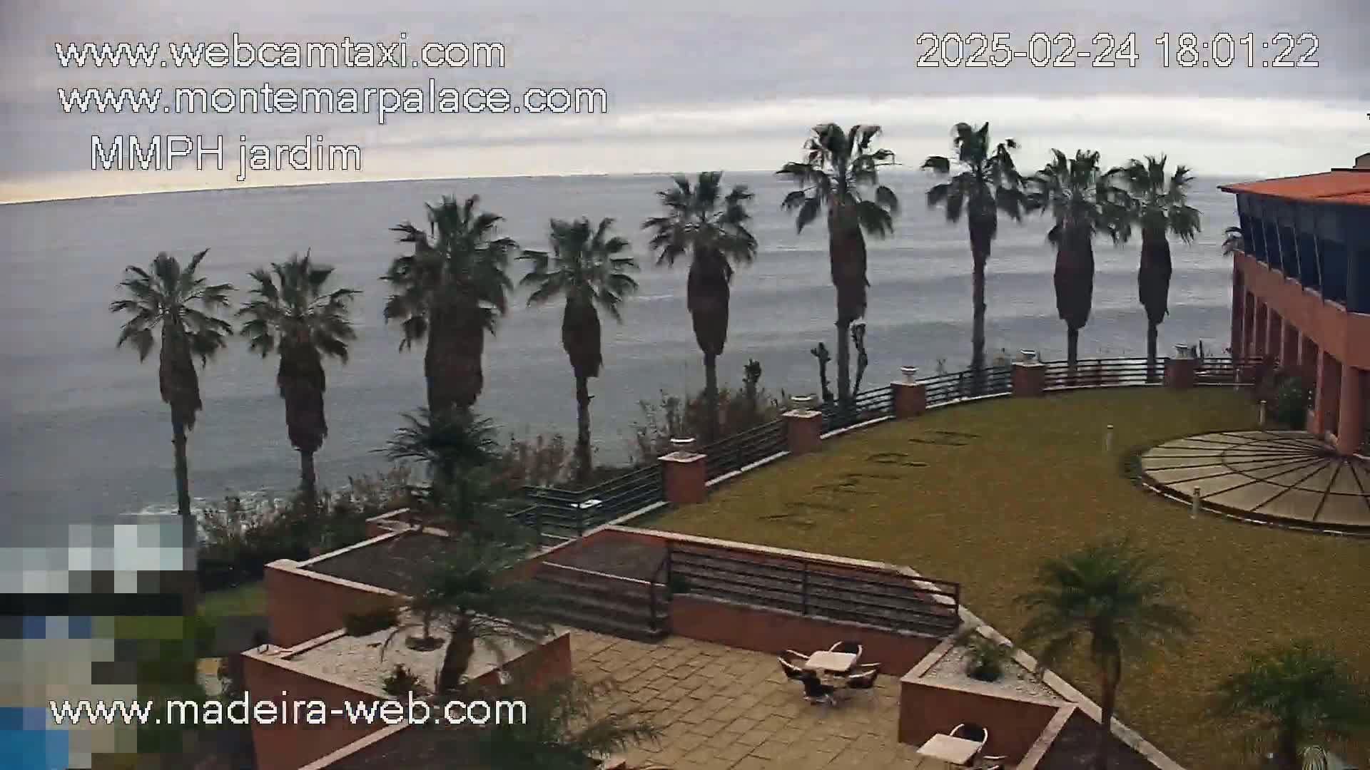 An overcast day reveals a coastal resort with palm trees lining a grassy courtyard overlooking a calm ocean.