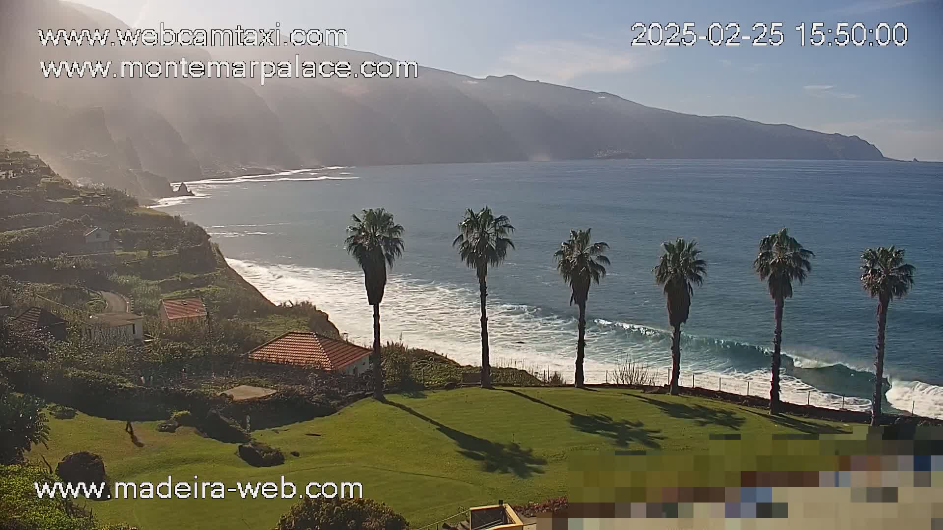 A sunny coastal scene shows a grassy area with palm trees overlooking a rocky shoreline and ocean waves, with hazy mountains in the background.