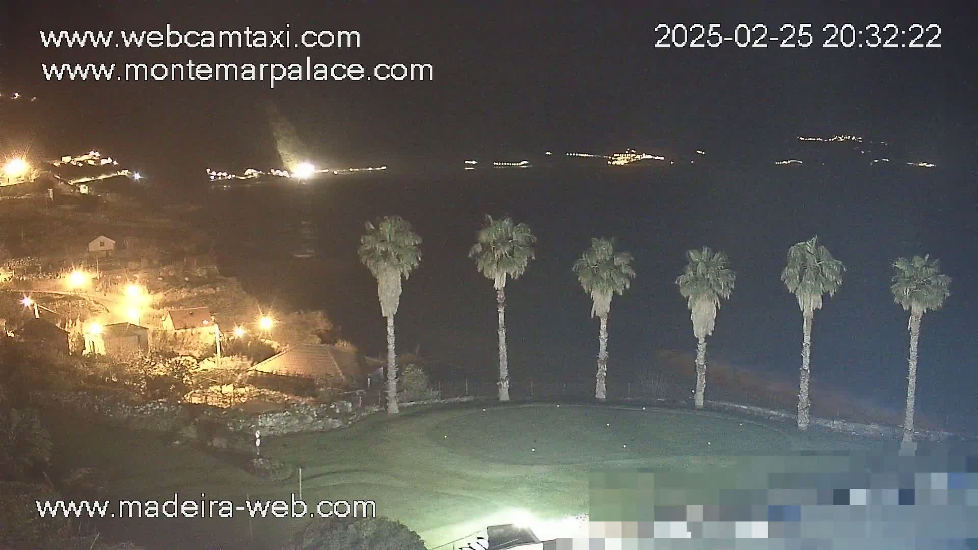 A nighttime view of a grassy area with several palm trees, illuminated houses in the foreground, and a dark body of water with distant lights in the background.