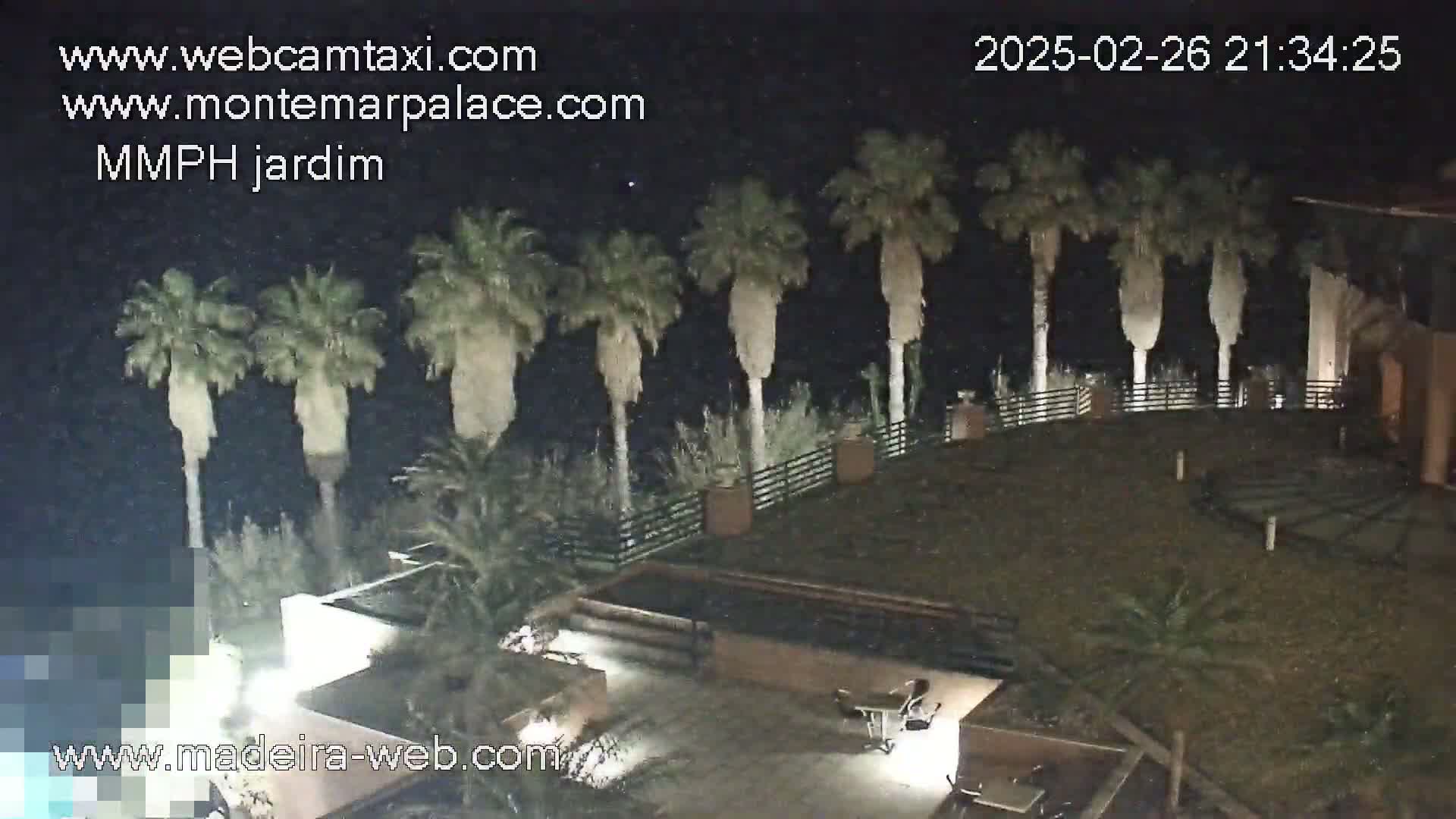 A nighttime view of a grassy area with palm trees and a building, under a slightly snowy or dusty sky.