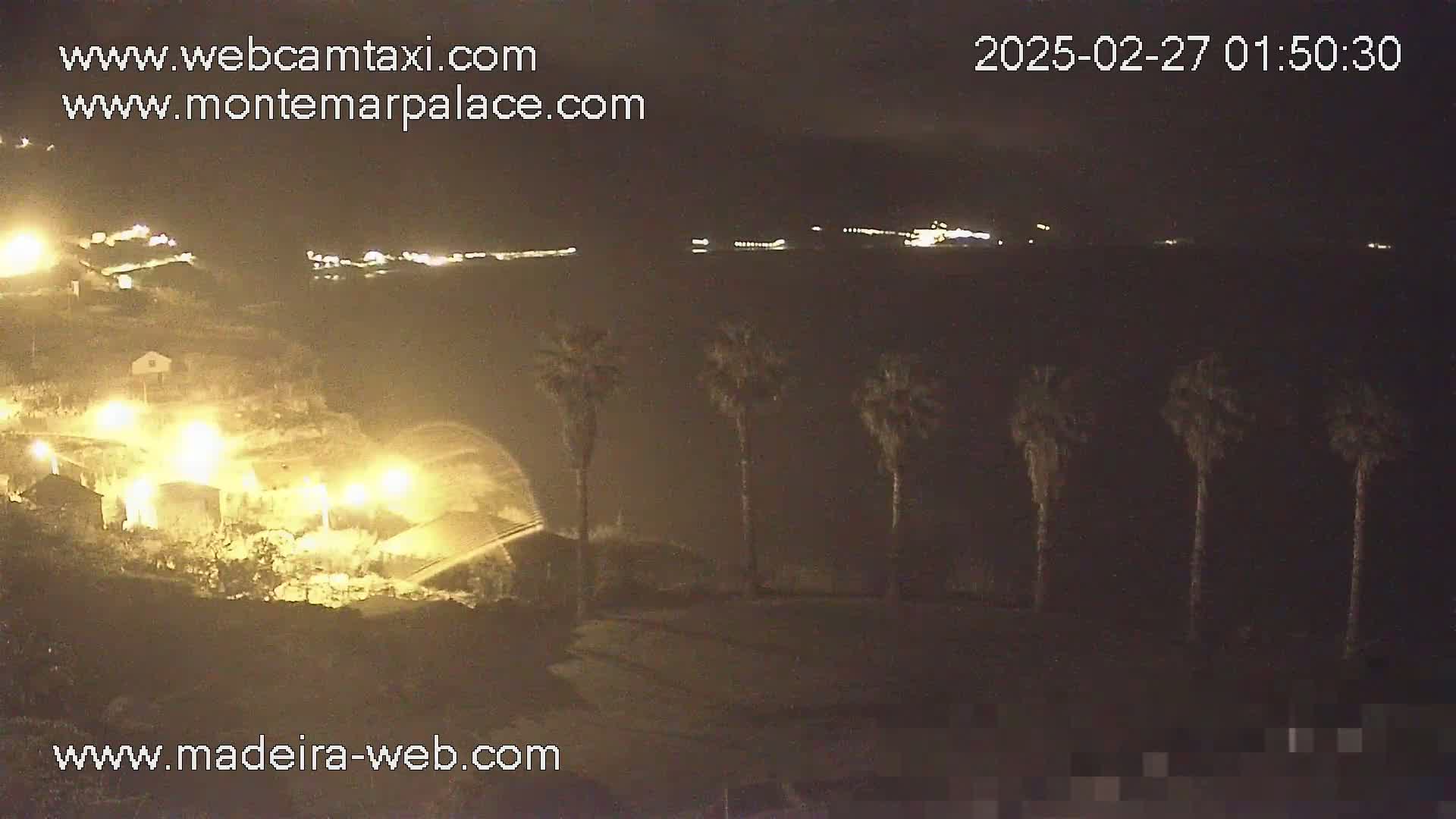 A nighttime view of a coastline with illuminated buildings and palm trees in the foreground, under a clear dark sky.