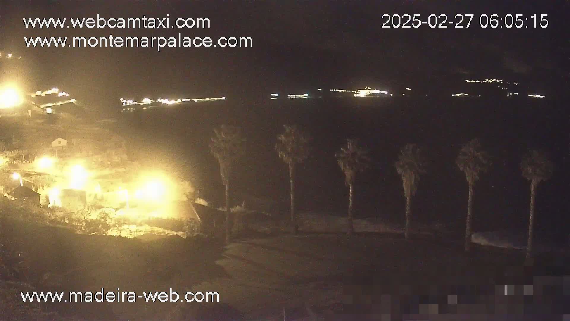 A nighttime coastal scene shows a dark beach with several palm trees silhouetted against a dark ocean and distant, faintly lit buildings.