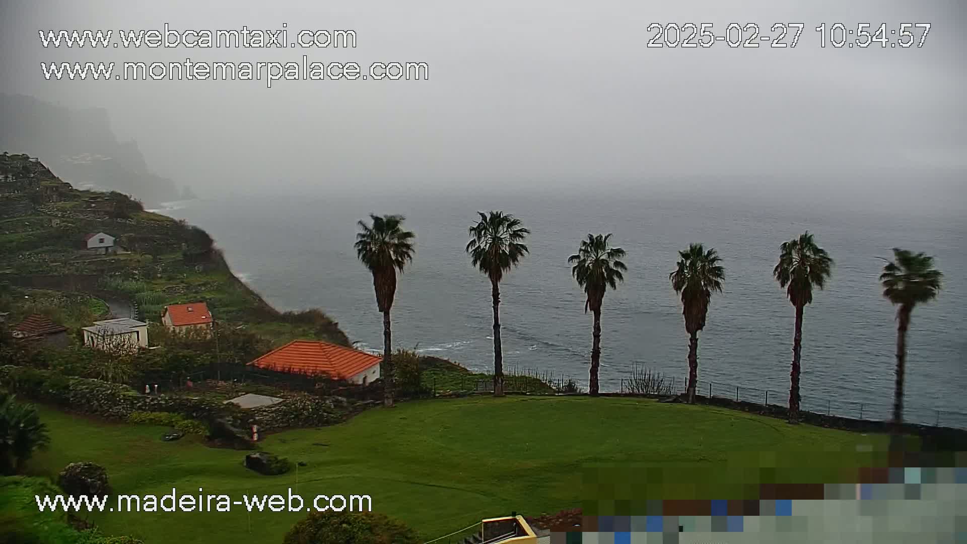 A foggy seaside view shows several small houses nestled on a green hillside overlooking a calm ocean, with a row of palm trees in the foreground.