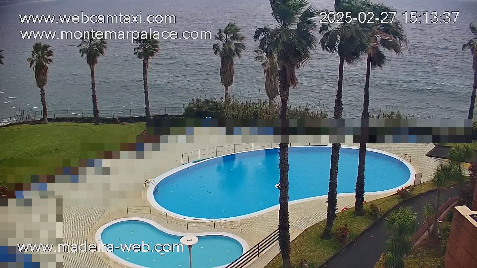 A kidney-shaped swimming pool and a smaller adjacent pool are situated on a grassy area overlooking a choppy ocean, with several palm trees swaying in the wind.