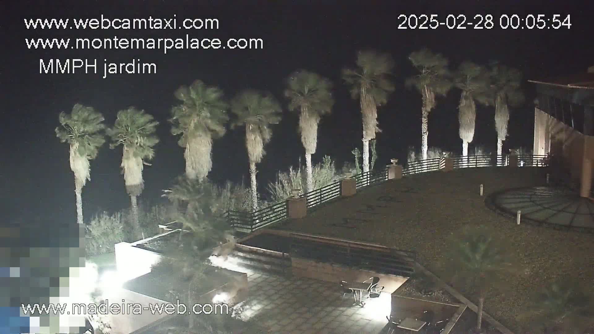 A nighttime view of a patio area with palm trees swaying in the wind, next to a building with outdoor seating.