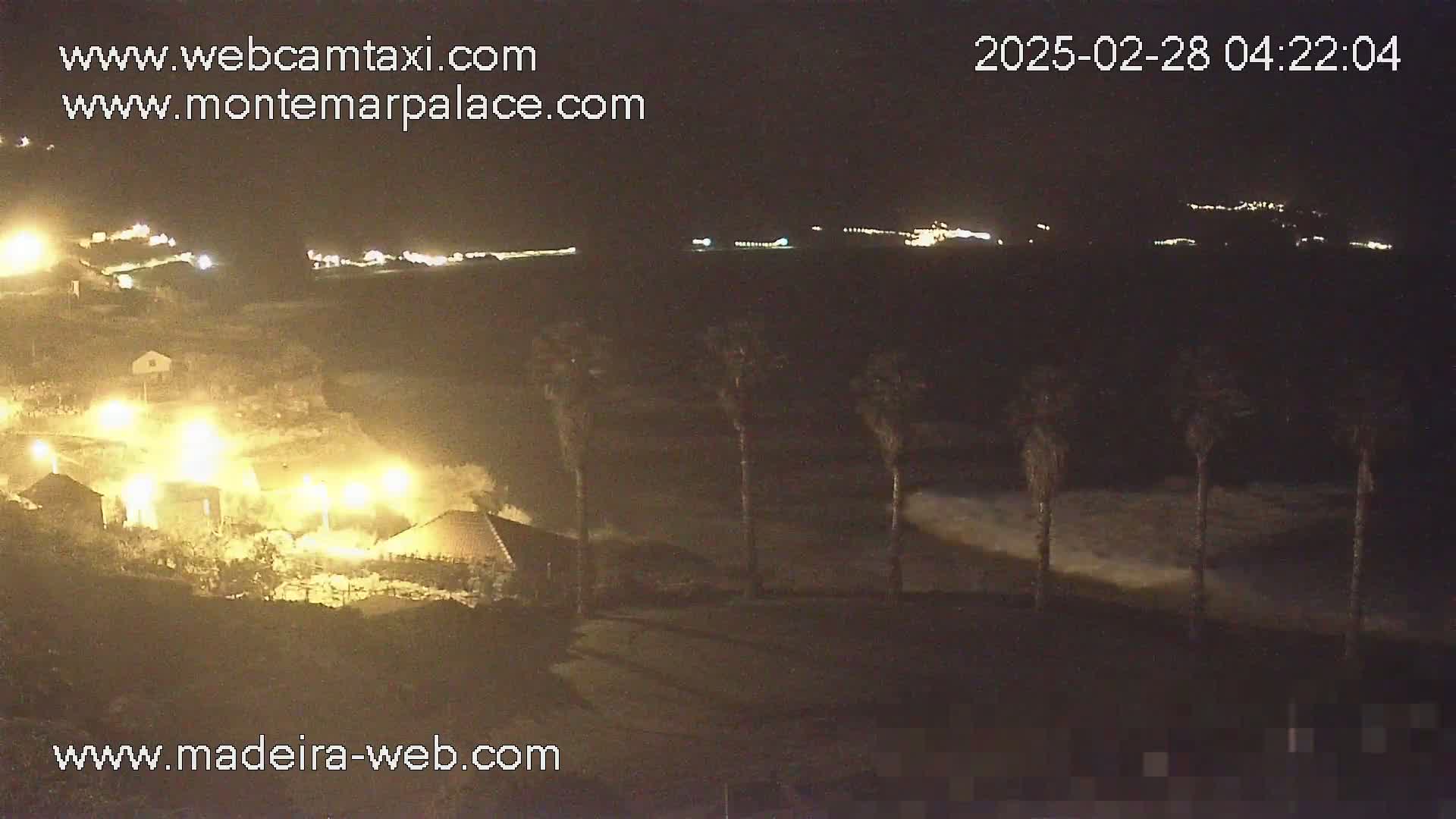 A nighttime coastal scene shows crashing waves near a collection of buildings lit by artificial light, with several palm trees in the foreground.