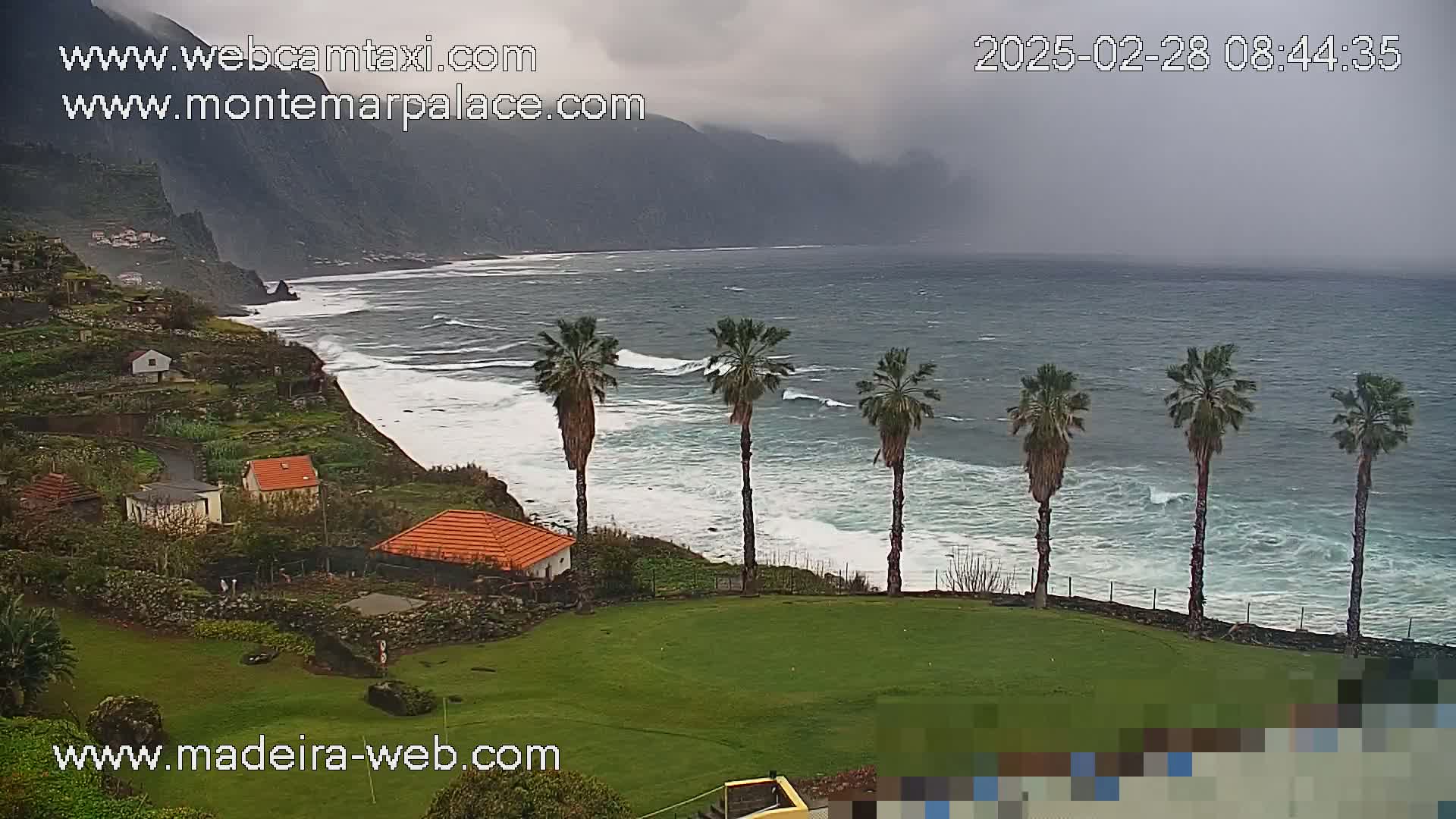 A coastal scene shows a rocky cliffside with several small houses, a grassy area with palm trees, and a gray, somewhat overcast sky over a choppy ocean with waves breaking on the shore.