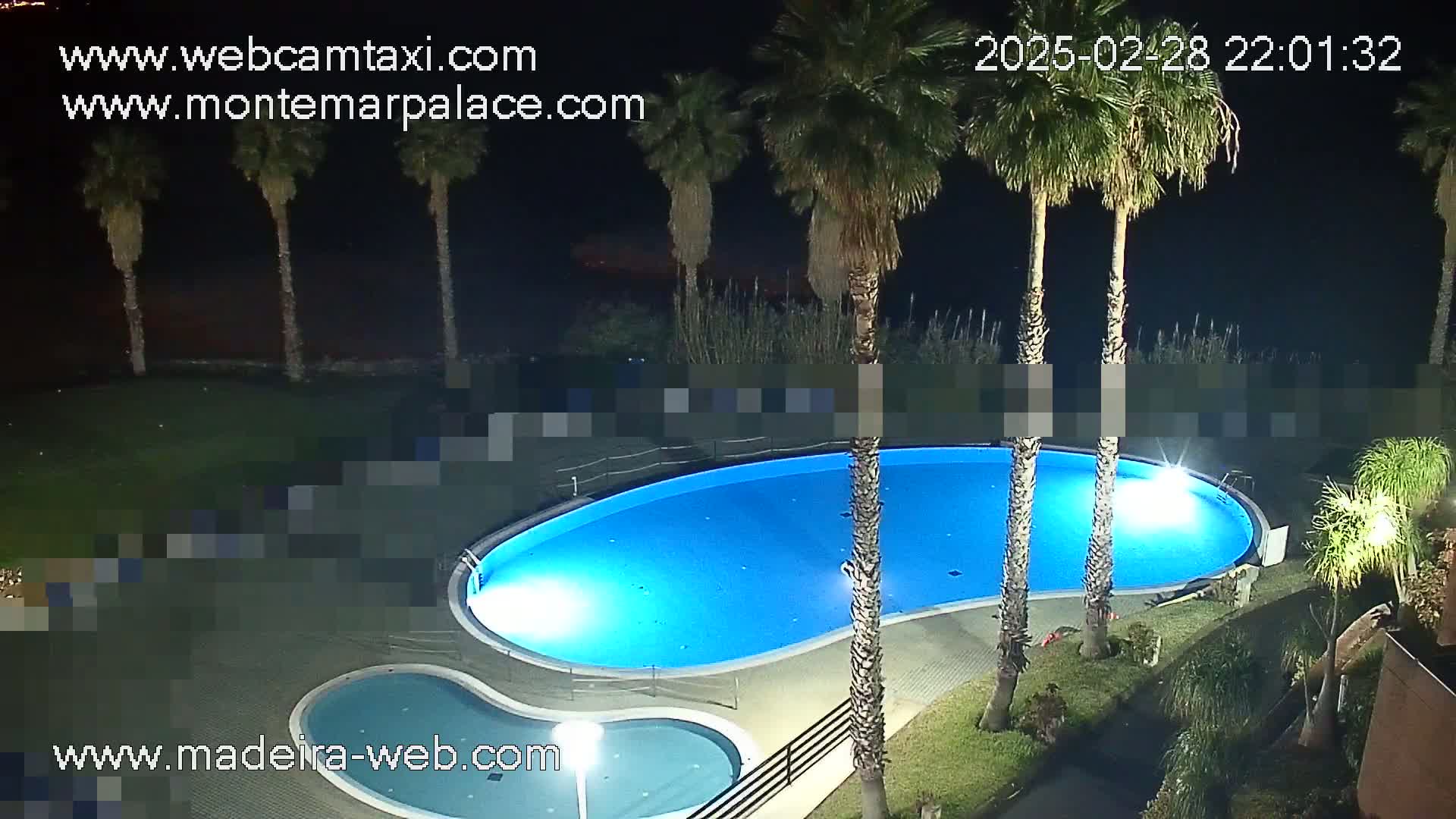 An overhead nighttime view shows a kidney-shaped swimming pool illuminated from below, surrounded by palm trees and landscaping.