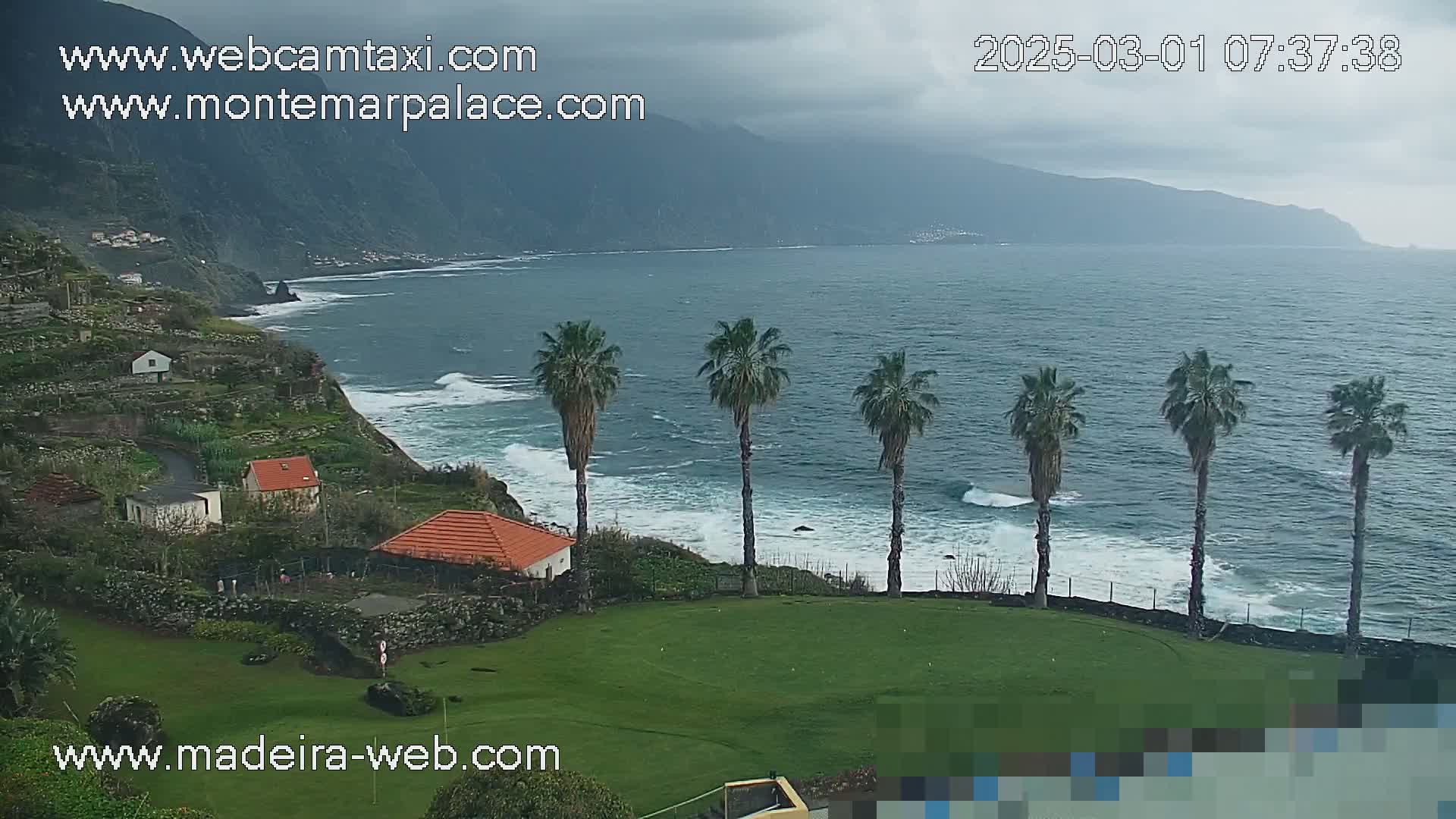 A coastal scene under an overcast sky shows a grassy area with several palm trees overlooking a rocky shoreline and ocean with waves.