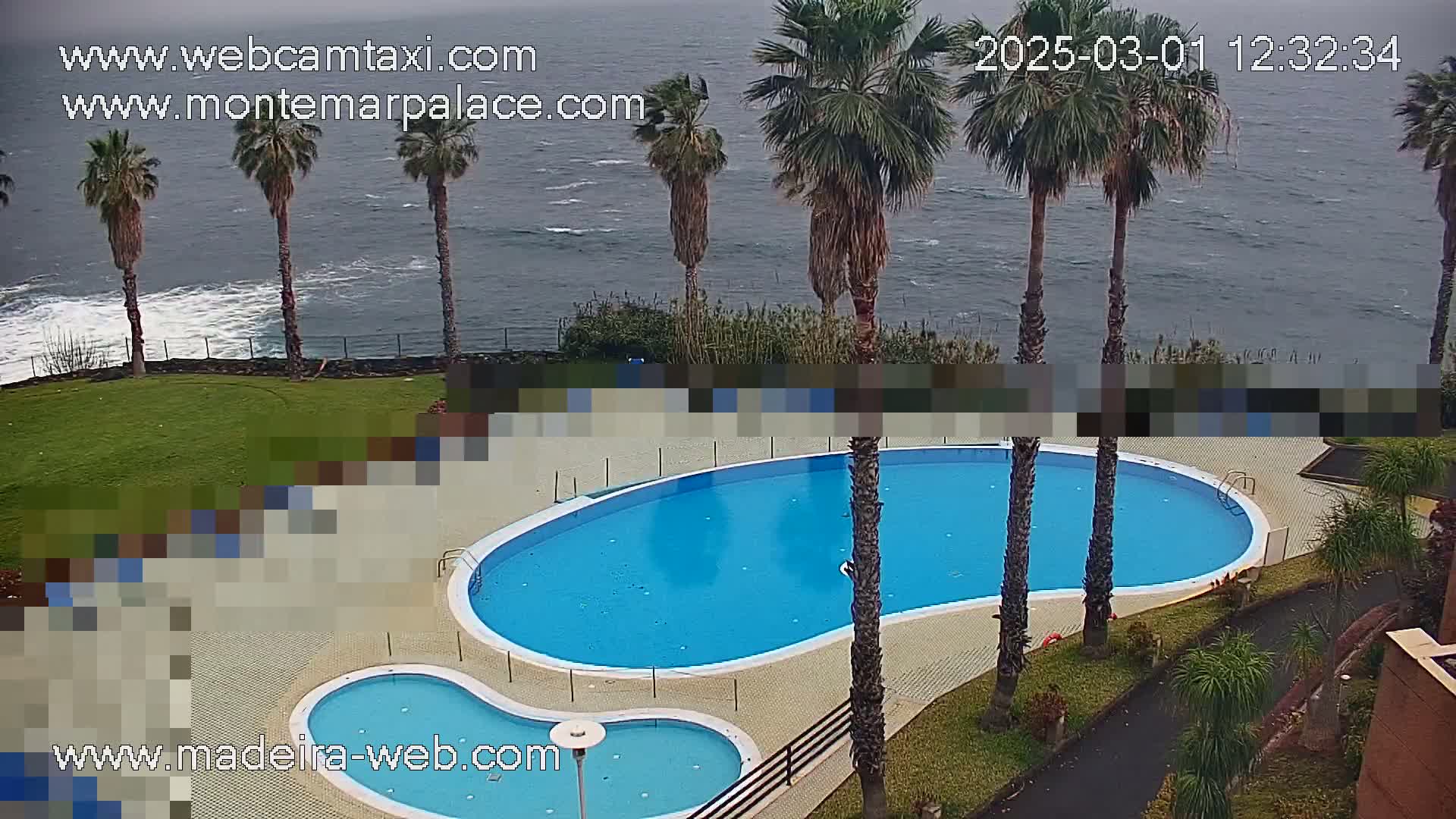 An outdoor kidney-shaped swimming pool with a smaller adjacent pool is situated on a grassy area overlooking a choppy ocean under an overcast sky, surrounded by palm trees.