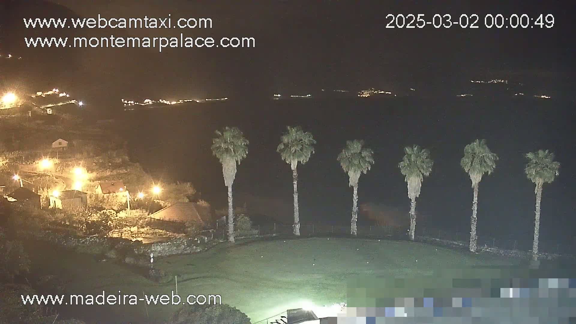 A nighttime view of a grassy area with several palm trees, illuminated buildings in the distance, and a body of water beyond.