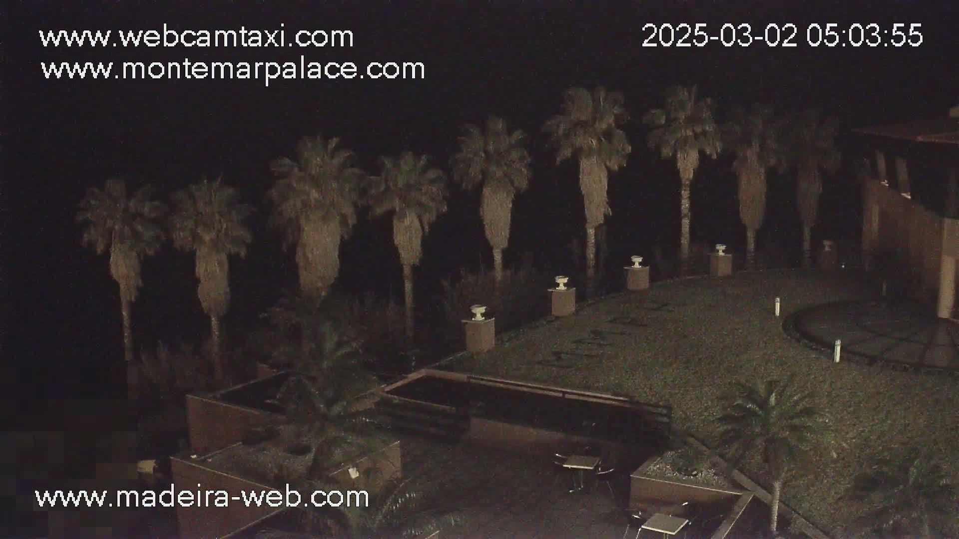 A nighttime view of a courtyard with palm trees, a pool, and some outdoor furniture under a dark sky.