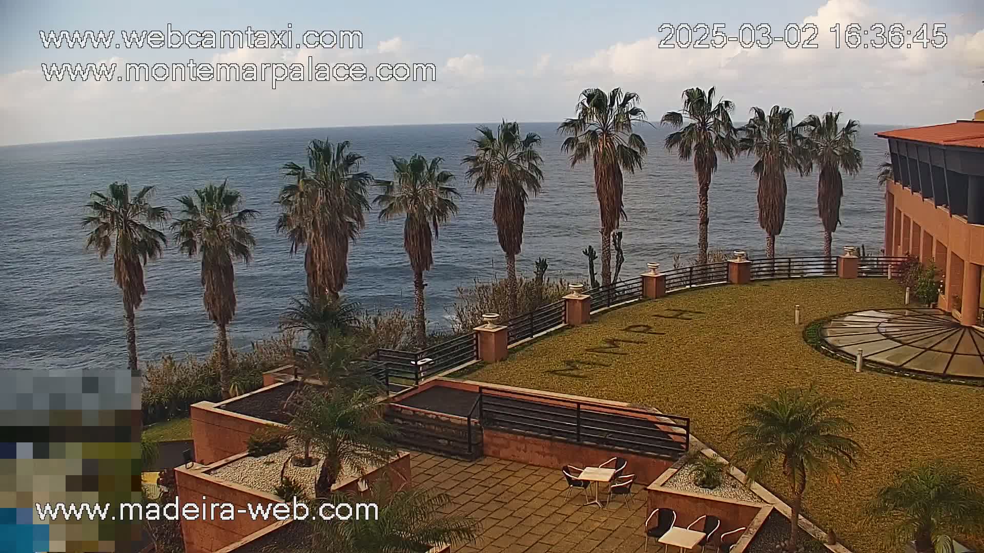 A partly cloudy day overlooks a tranquil ocean, with palm trees lining a clifftop beside a building's patio area.