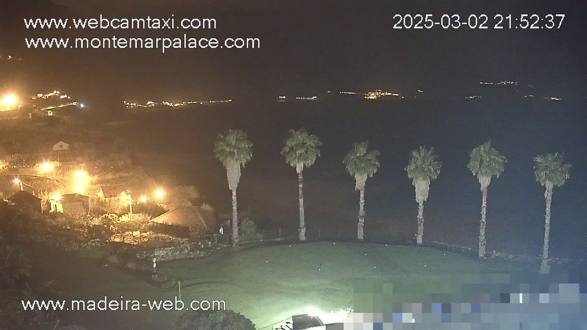 A nighttime view of a grassy area with five palm trees in the foreground, illuminated houses and hills in the distance under a clear, dark sky.