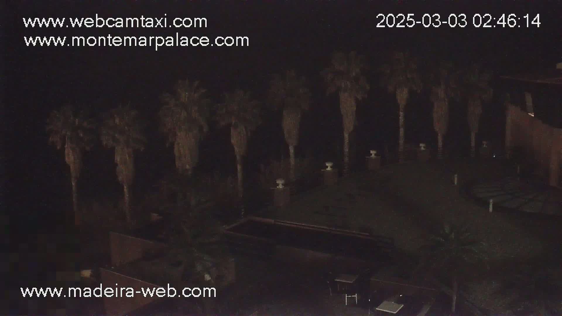 A nighttime, dark outdoor scene shows several palm trees lining a paved area with a rectangular pool and some outdoor furniture.