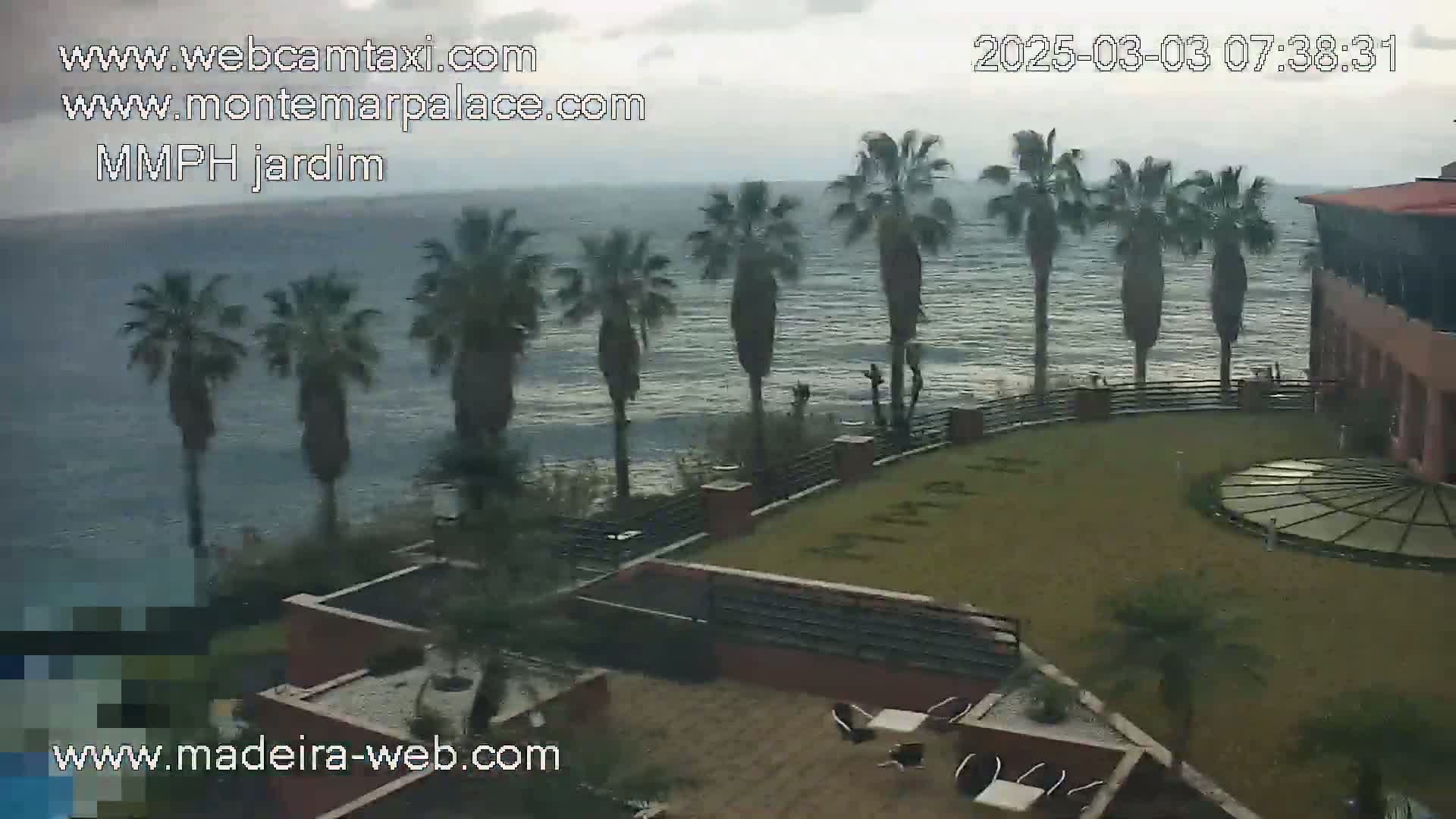 An overcast day reveals a view of palm trees swaying in the wind near a coastal resort with a patio and ocean view.