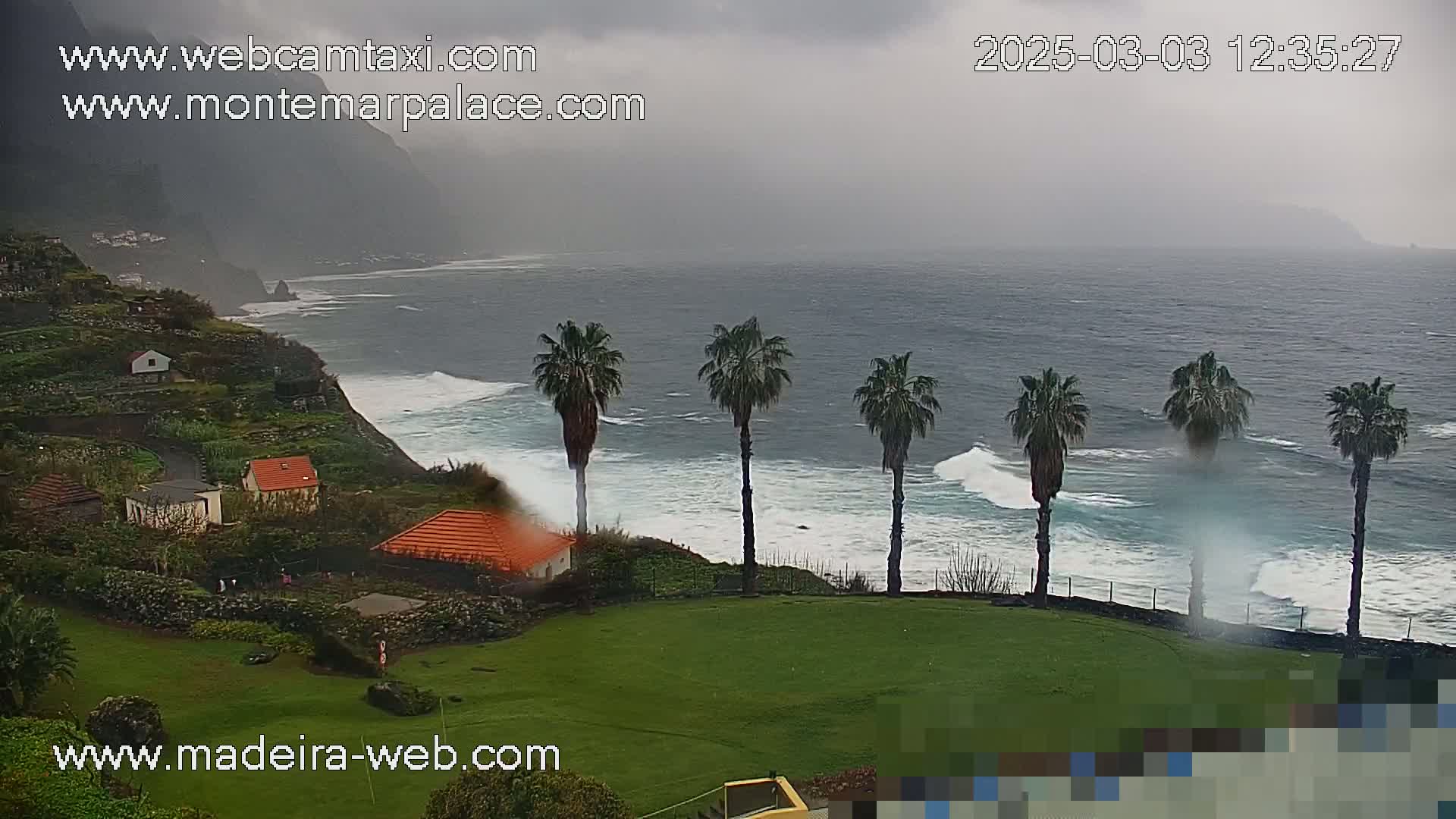 A view of a coastal area on an overcast day, showing several houses, palm trees, and a grassy area overlooking a turbulent ocean with waves crashing against the shore.