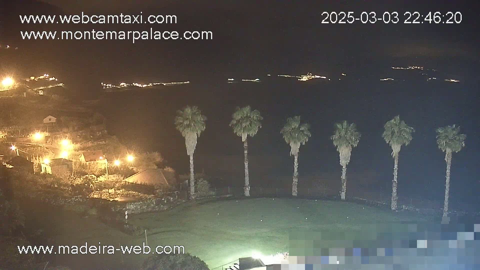 A nighttime view shows a grassy area with five palm trees, a distant town with lights, and a hillside with houses illuminated.