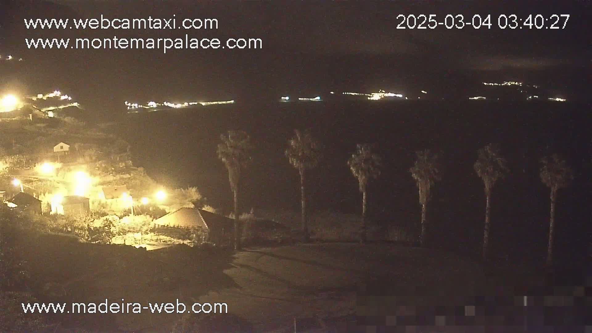 A nighttime view of a coastal area with buildings illuminated by artificial lights, several palm trees in the foreground, and a dark body of water beyond.