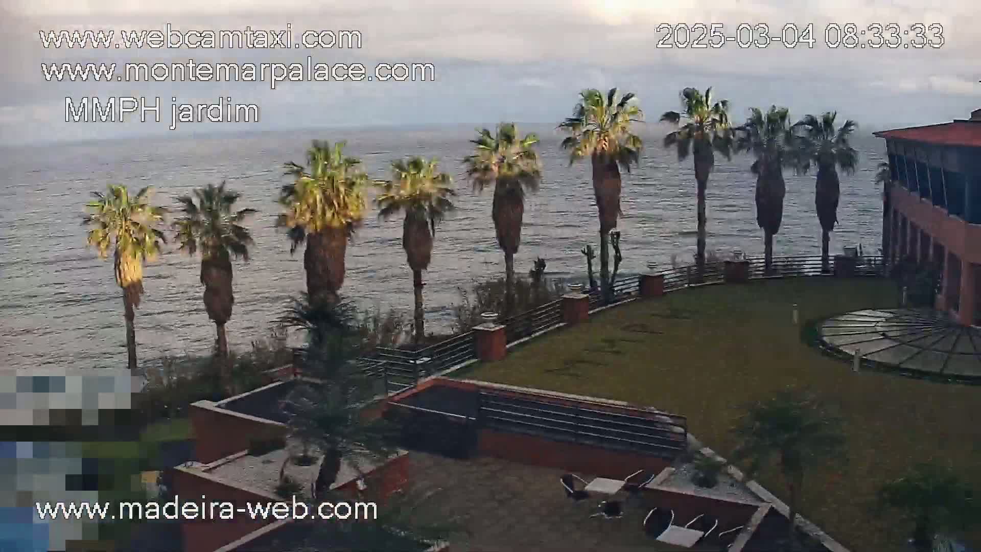 A grassy courtyard with palm trees overlooks a calm ocean under an overcast sky.