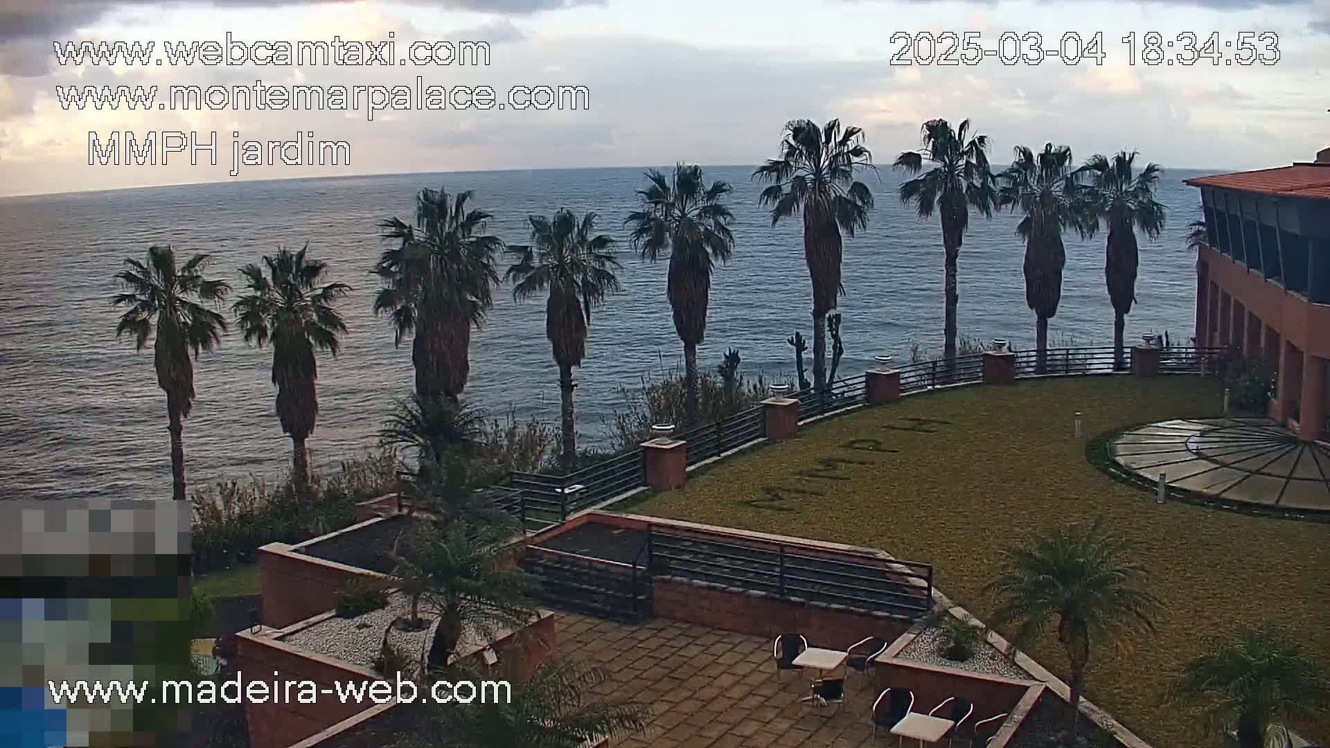 An overcast day shows a view of a resort patio overlooking a calm ocean, with several palm trees lining a grassy area and a building in the background.