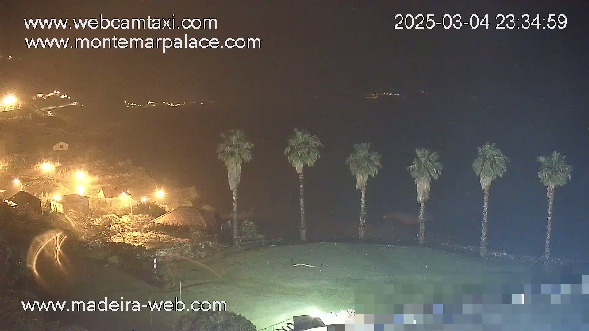 A nighttime view of a coastal area showing a flat grassy area with a row of palm trees in front of a dark body of water, under hazy conditions.